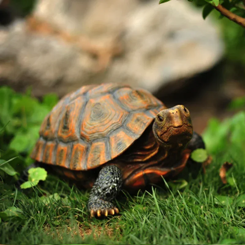 Simulated Animal Turtle Resin Ornaments Outdoor Garden Villa Courtyard Pool Fish Tank Decoration Layout Landscaping Model
Simulated Animal Turtle Resin Ornaments Outdoor Garden Villa Courtyard Pool Fish Tank Decoration Layout Landscaping Model