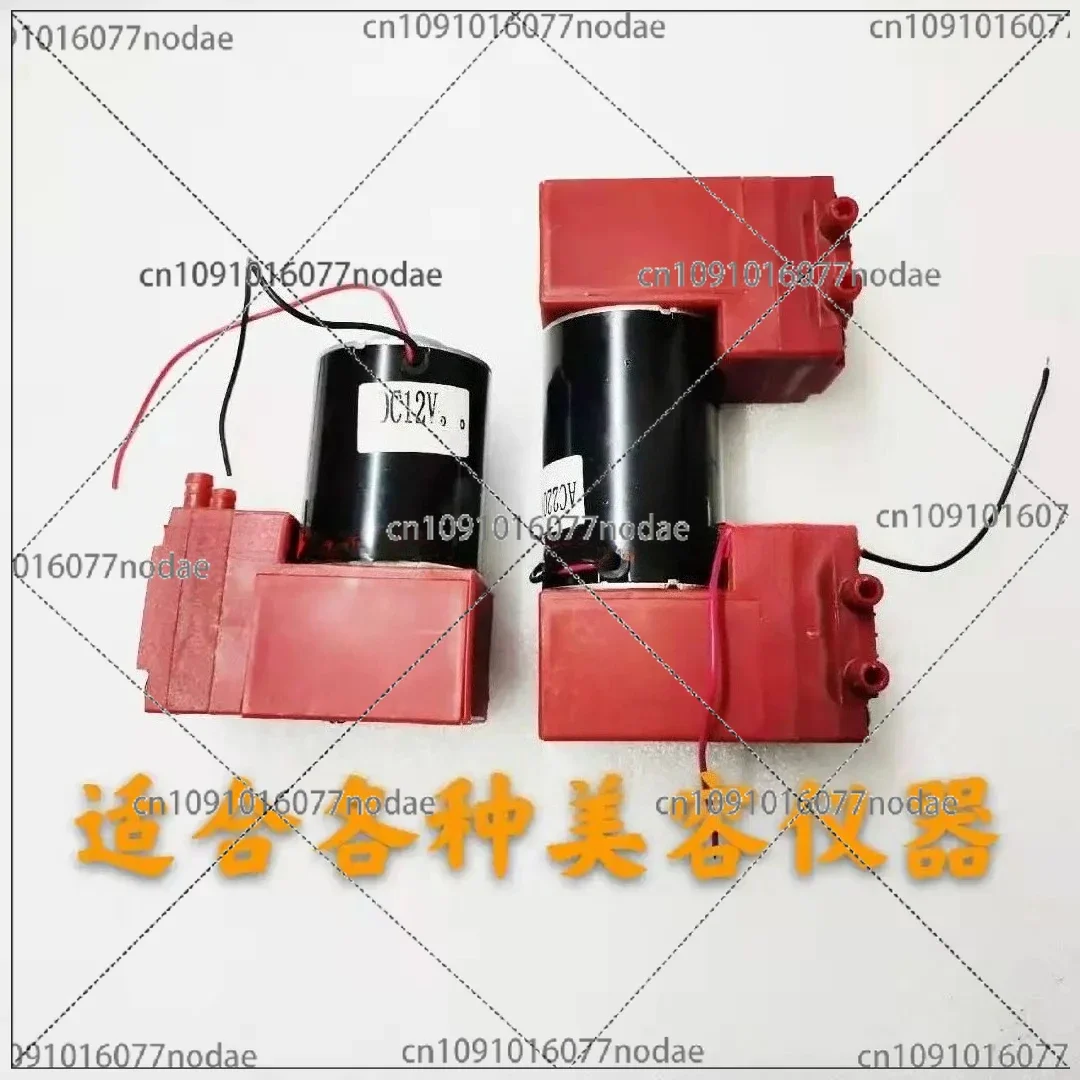 Fine Engraving Instrument Air Pump Small Bubble High Frequency Oxygen Injection Instrument Single Head Vacuum Pump 12V220V
Fine Engraving Instrument Air Pump Small Bubble High Frequency Oxygen Injection Instrument Single Head Vacuum Pump 12V220V