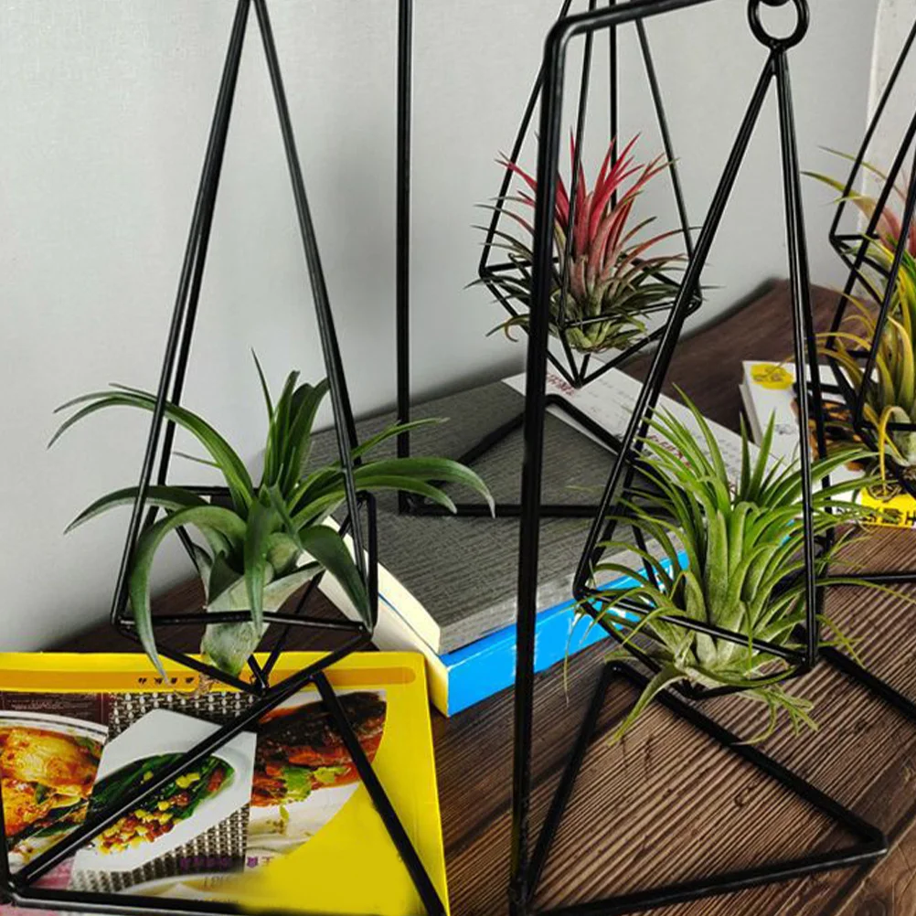 Air Plant Holder Metal Rack For Tillandsia Display Stand Decor Office Plant Shelves Garden Supplies
Air Plant Holder Metal Rack For Tillandsia Display Stand Decor Office Plant Shelves Garden Supplies