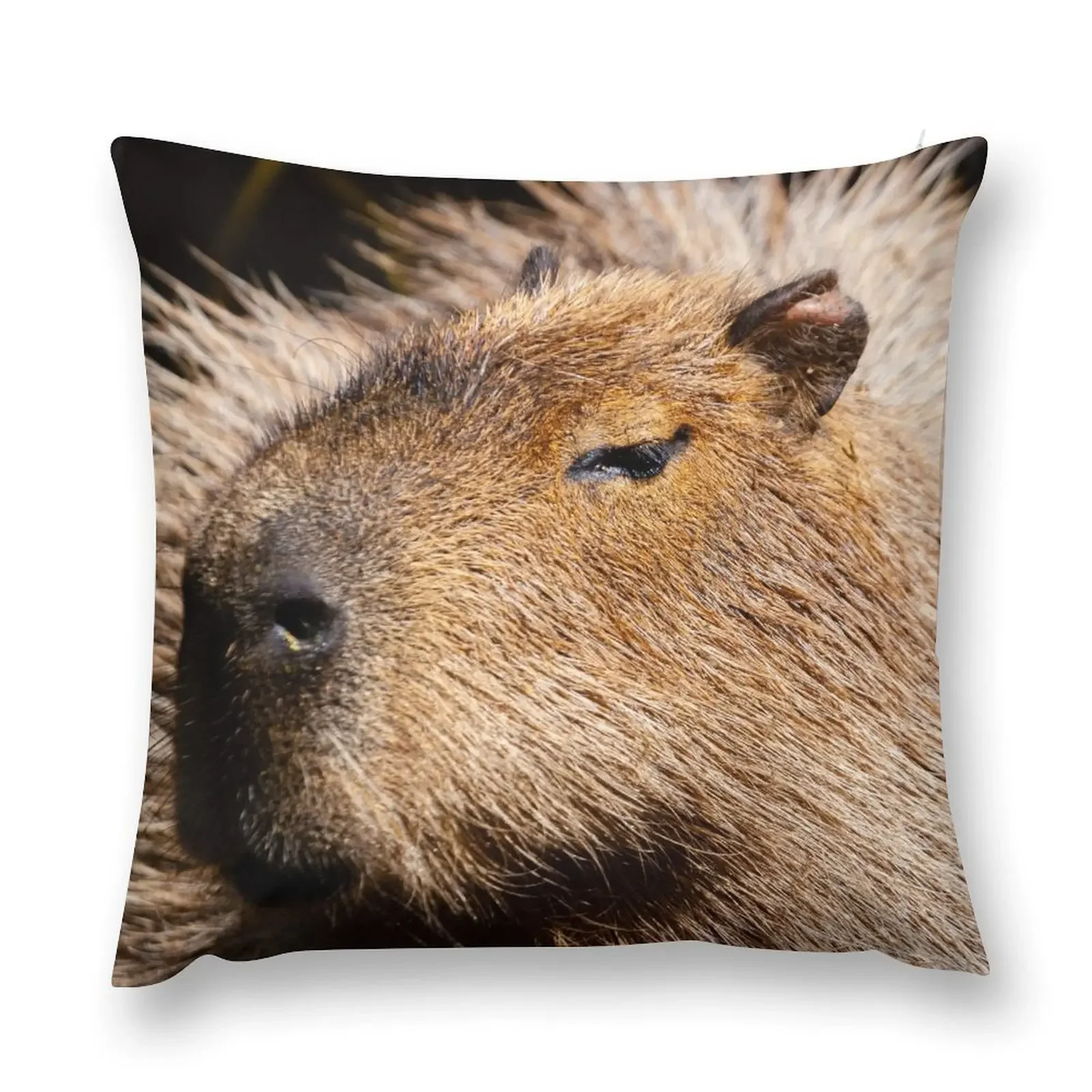 Capybara profile Throw Pillow Pillow Cover Christmas Cushion For Home Pillowcases Cushion Covers Sofa New year pillow
Capybara profile Throw Pillow Pillow Cover Christmas Cushion For Home Pillowcases Cushion Covers Sofa New year pillow