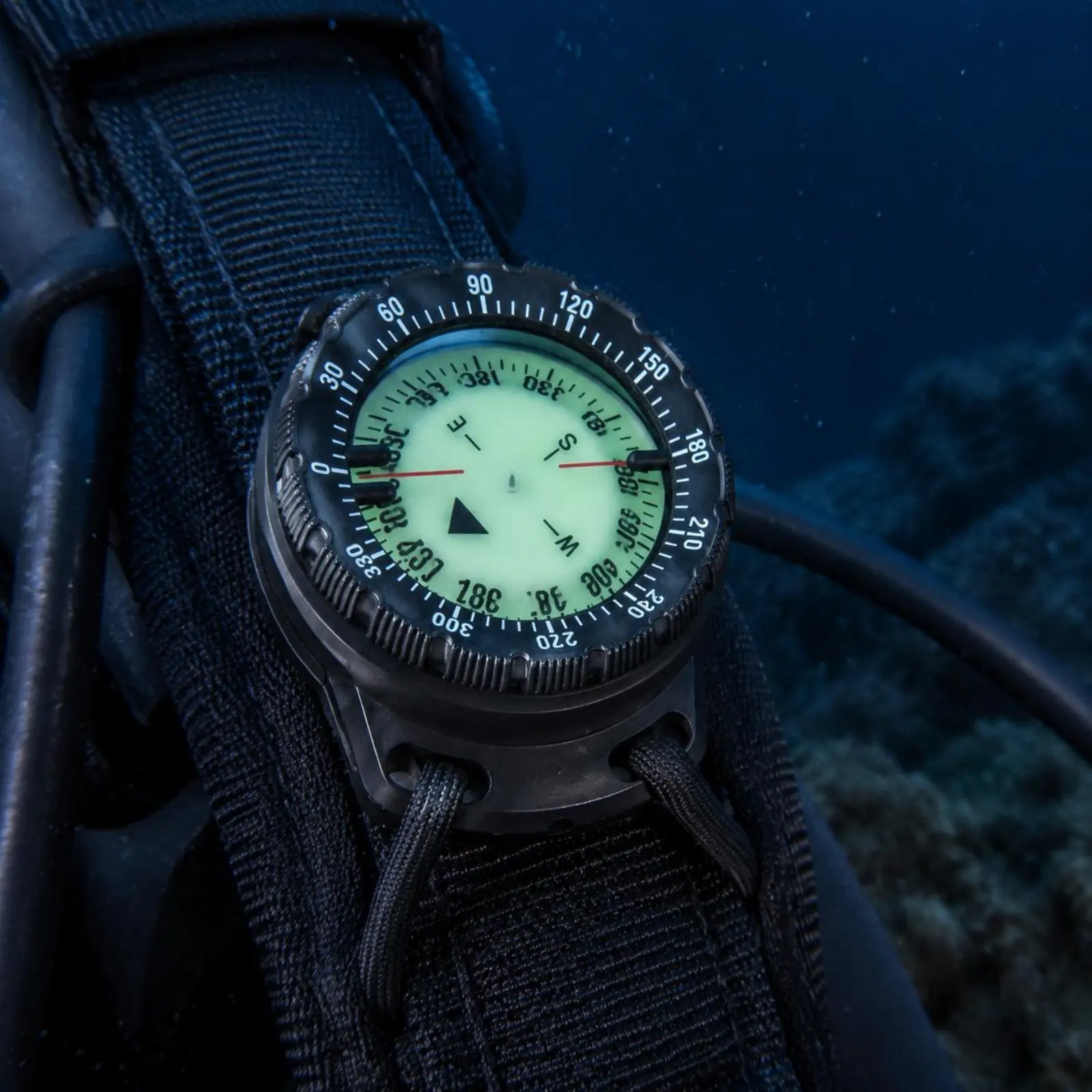 Bungee Compass Easy to Attach BCD Compass Outdoor Gear Compact 360-Degree Bezel for Divers
Bungee Compass Easy to Attach BCD Compass Outdoor Gear Compact 360-Degree Bezel for Divers