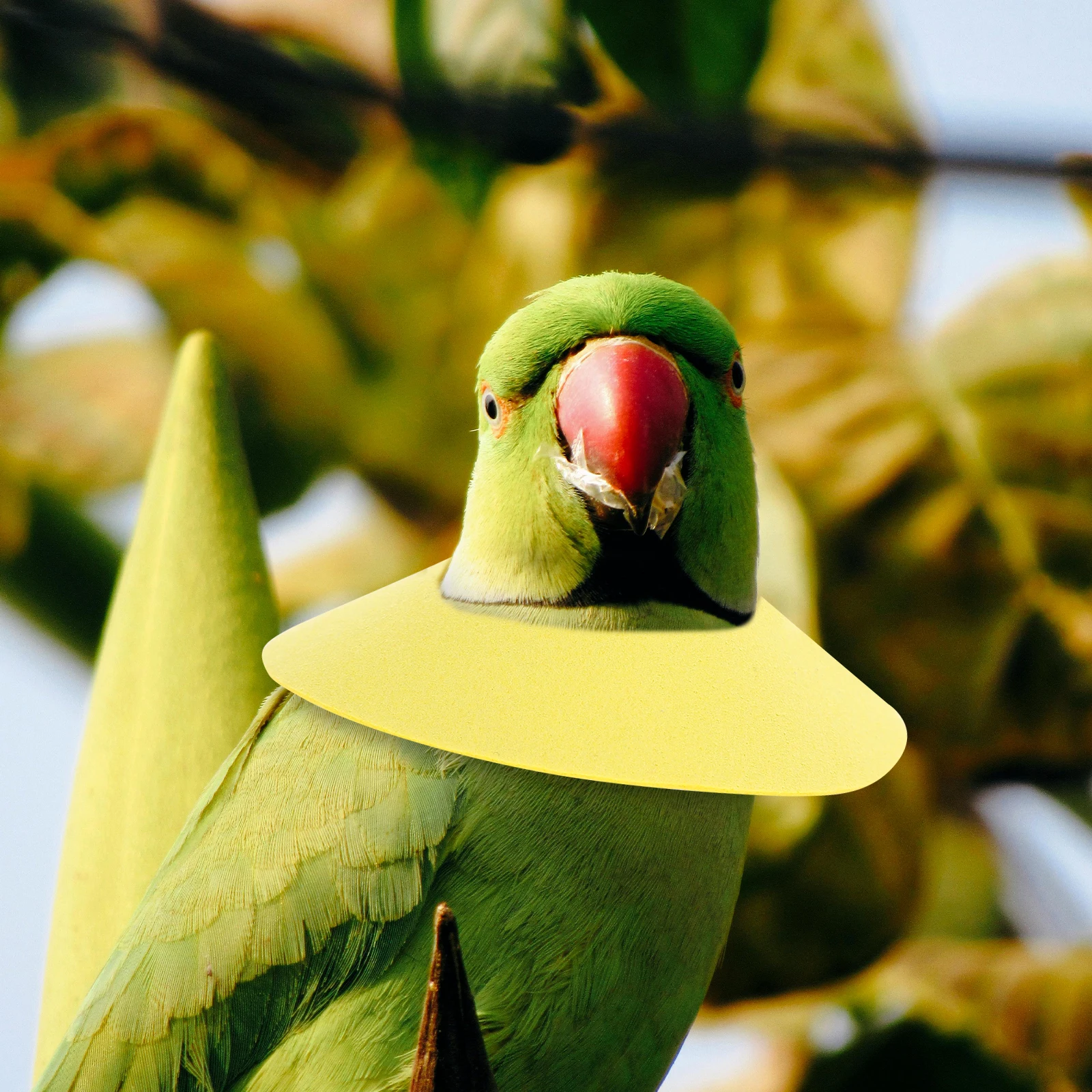 Anti-pecking Collar Birds Neck Cover Protective Accessories Felt Cloth Parrot Cones Collars Adjustable Pet Recovery
Anti-pecking Collar Birds Neck Cover Protective Accessories Felt Cloth Parrot Cones Collars Adjustable Pet Recovery
