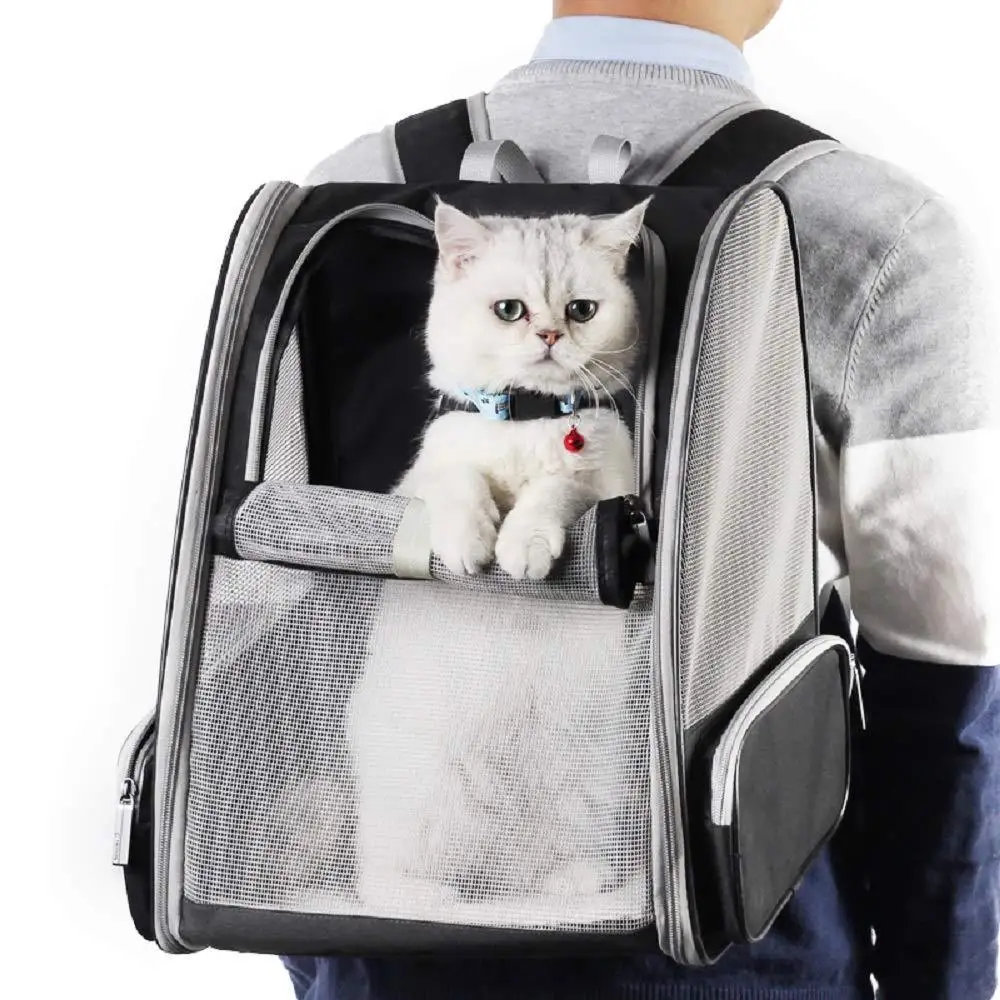 Carrier Black Blue Grey Travel Hiking Walking Portable Breathable Lightweight Foldable Dog Cat Pet White Nylon Pink Backpack
Carrier Black Blue Grey Travel Hiking Walking Portable Breathable Lightweight Foldable Dog Cat Pet White Nylon Pink Backpack