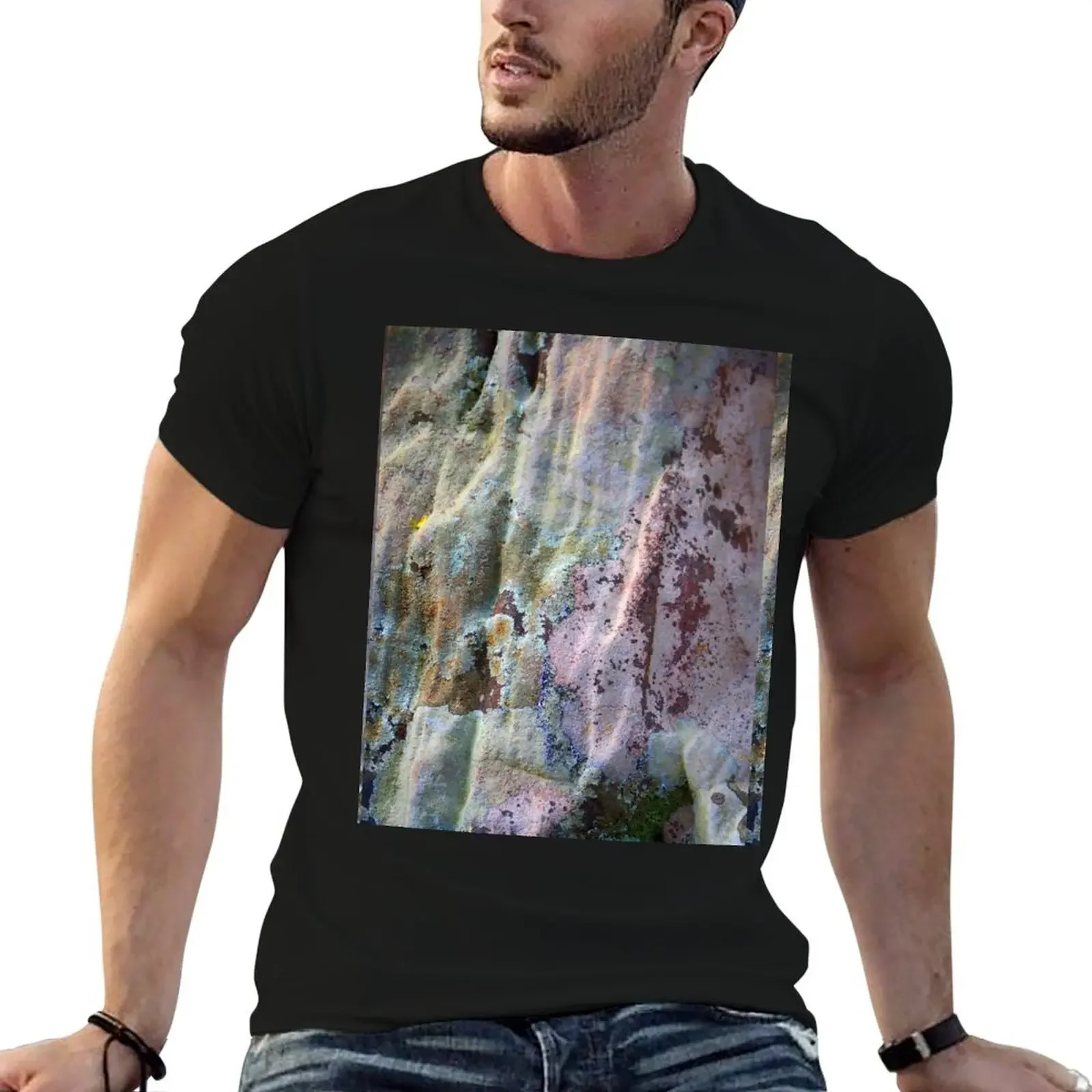 Rainbow Lichen T-Shirt plus size clothes funny costumes mens workout shirts
Rainbow Lichen T-Shirt plus size clothes funny costumes mens workout shirts