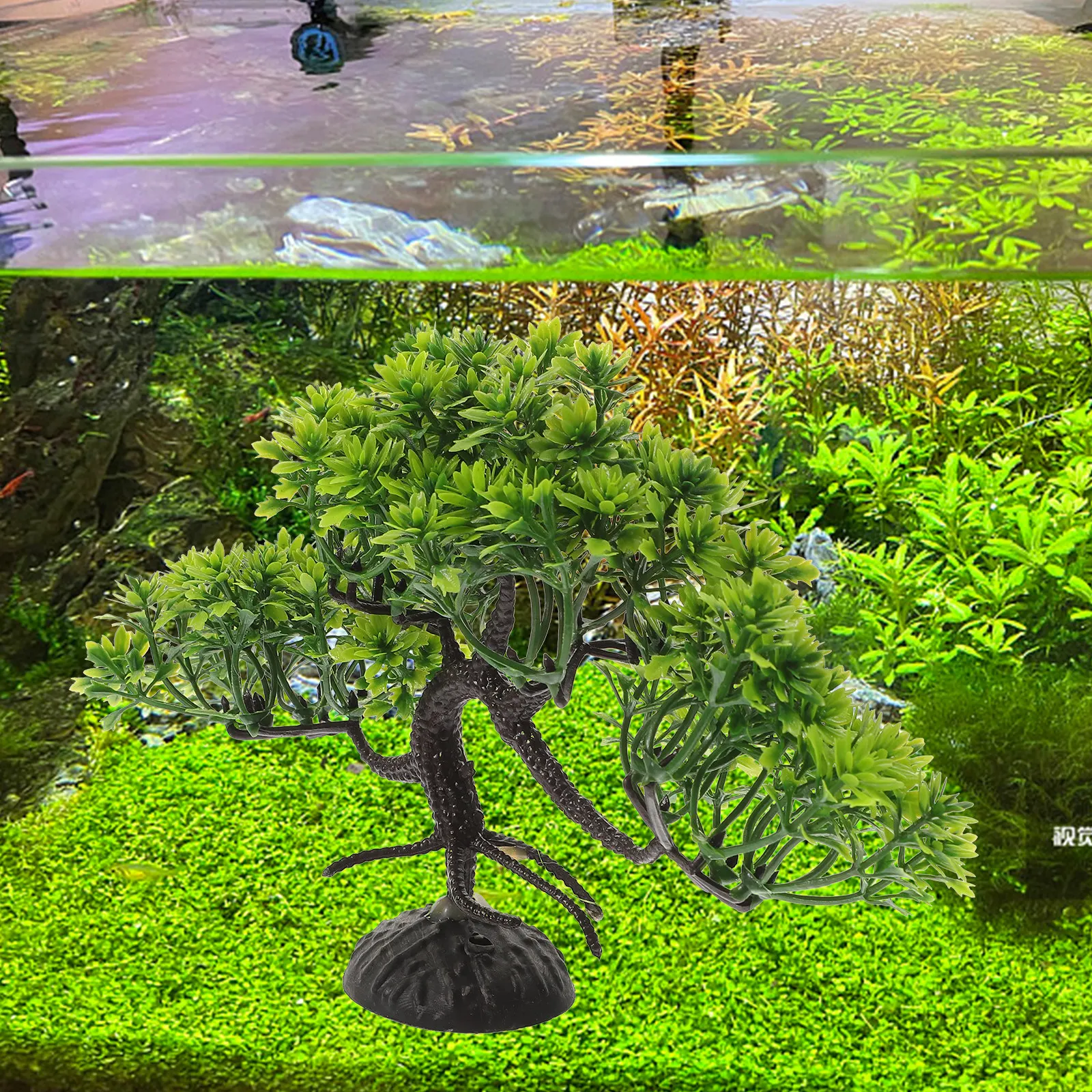 2Pcs Fish Tank Decoration Artificial Pine Tree Plastic Plants Safe Soft Freshwater Saltwater Aquarium Ornament
2Pcs Fish Tank Decoration Artificial Pine Tree Plastic Plants Safe Soft Freshwater Saltwater Aquarium Ornament