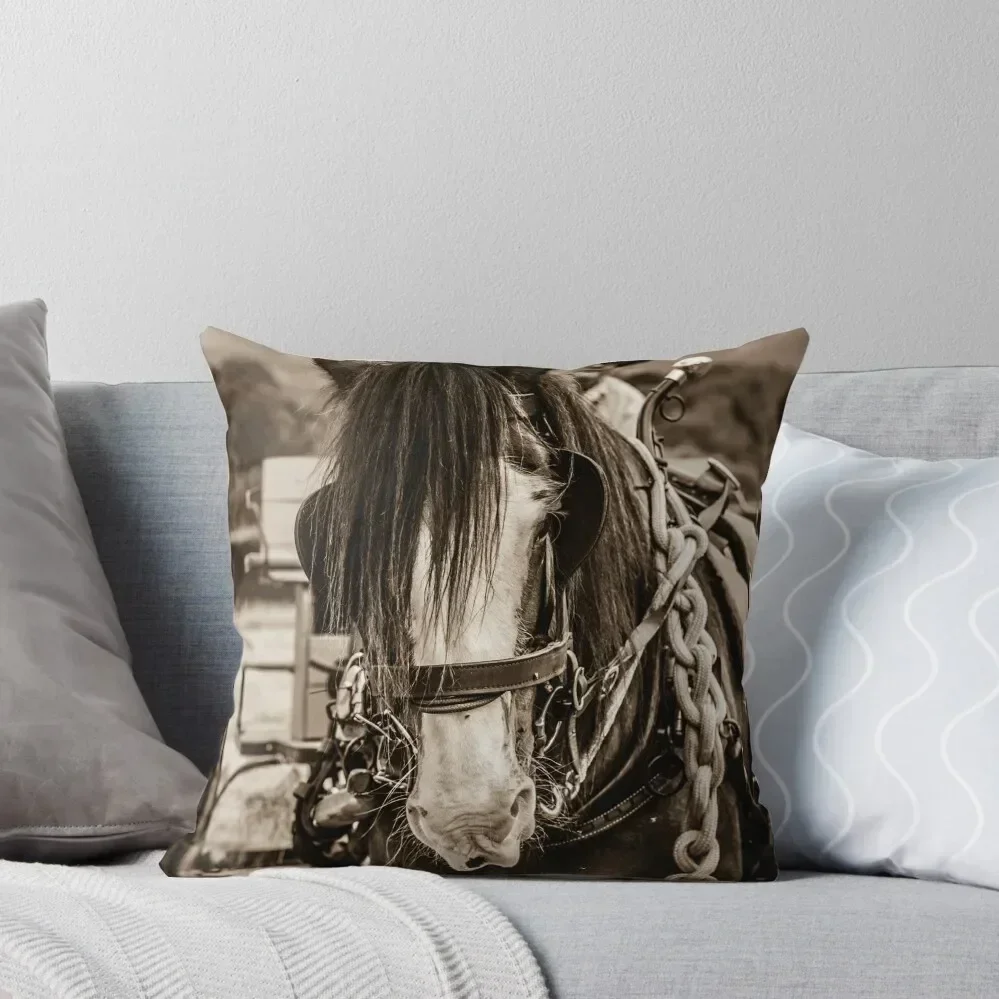 A G E N T L E G I A N T The Dusty Tribe Throw Pillow Covers For Sofas luxury covers Decorative Cushions pillow
A G E N T L E G I A N T The Dusty Tribe Throw Pillow Covers For Sofas luxury covers Decorative Cushions pillow