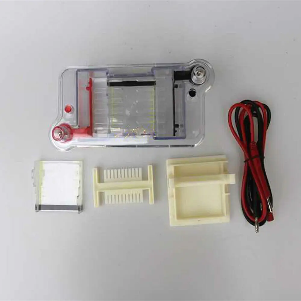 27022 Horizontal Electrophoresis Tank High School Biological Equipment 122-3122
27022 Horizontal Electrophoresis Tank High School Biological Equipment 122-3122