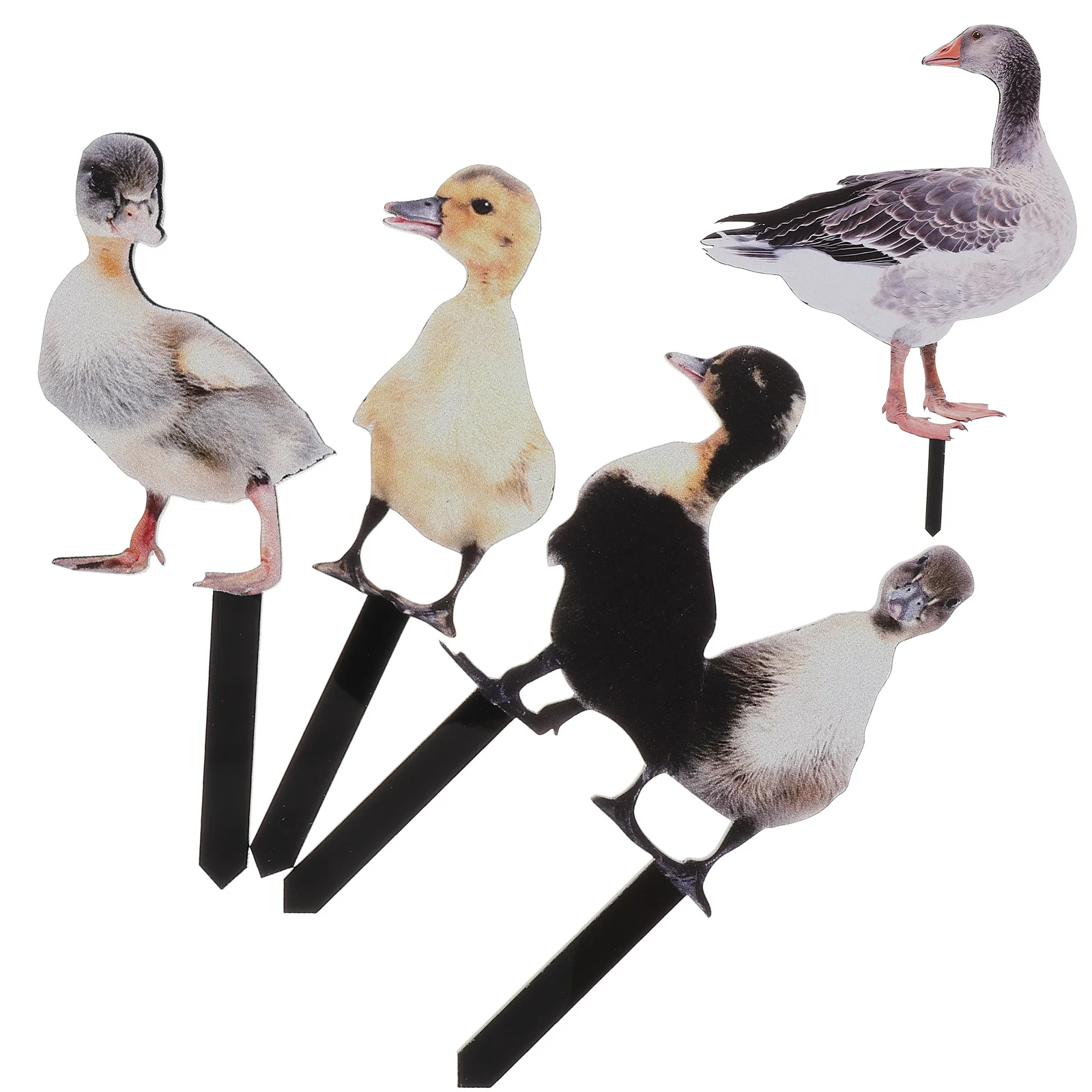 Garden Ducks Stake Outdoor Courtyard Decoration Acrylic Sign Realistic Shape Color Yard Duck Decor Lawn Ornament
Garden Ducks Stake Outdoor Courtyard Decoration Acrylic Sign Realistic Shape Color Yard Duck Decor Lawn Ornament