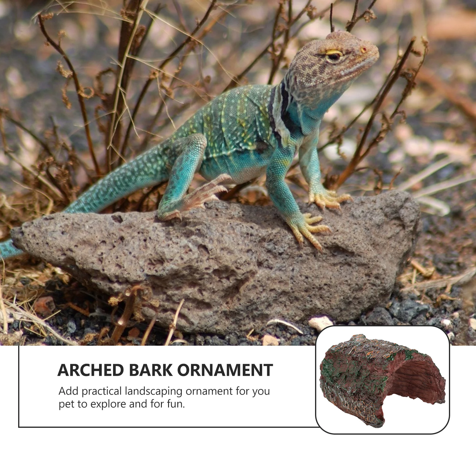 Resin Arch Bark Tree Ornament Durable No Odor Landscape Fish Tank Creeper Cage Hiding Decor Lizard Shelter Creeper Hiding Decor 
Resin Arch Bark Tree Ornament Durable No Odor Landscape Fish Tank Creeper Cage Hiding Decor Lizard Shelter Creeper Hiding Decor