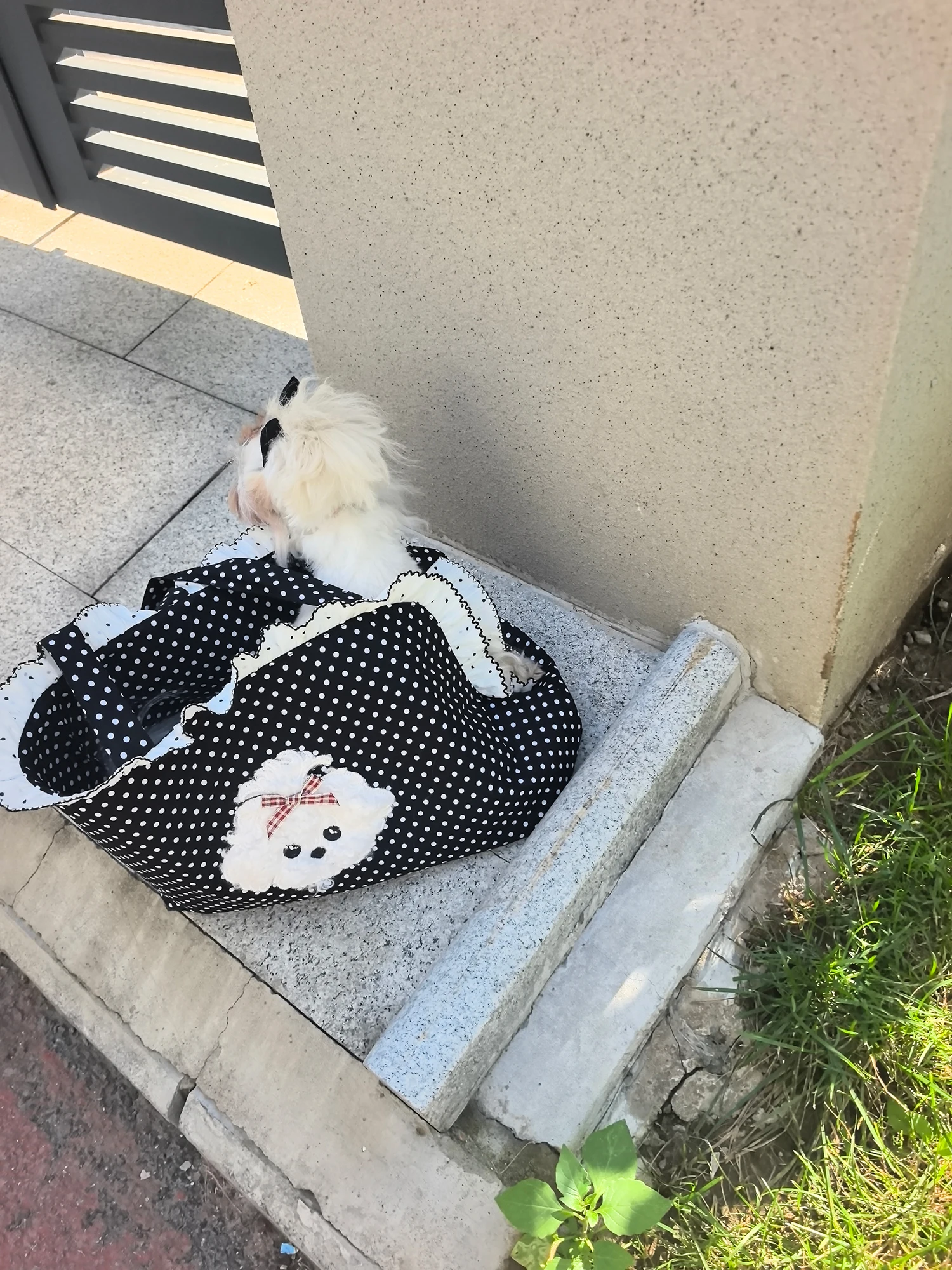 Сумка-переноска Pet Bapa для собак и маленьких пород, дорожная сумка для выгула собак, переноска для мальтезе и других пород собак
Сумка-переноска Pet Bapa для собак и маленьких пород, дорожная сумка для выгула собак, переноска для мальтезе и других пород собак