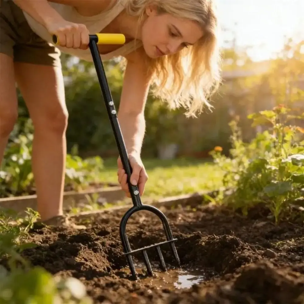 Solid Materials Garden Aerator Claw Sturdy Construction Practical Design Hole Puncher Easy To Operate Soil Loosener Lawns
Solid Materials Garden Aerator Claw Sturdy Construction Practical Design Hole Puncher Easy To Operate Soil Loosener Lawns