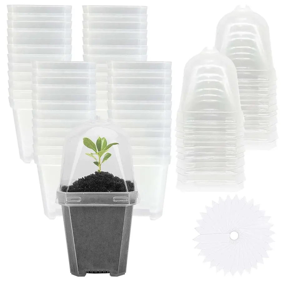 50 прозрачных горшков для рассады с куполом для контроля влажности, 3 многоразовых пластиковых садовых горшка с этикетками, маленькие горшки для проращивания семян
50 прозрачных горшков для рассады с куполом для контроля влажности, 3 многоразовых пластиковых садовых горшка с этикетками, маленькие горшки для проращивания семян