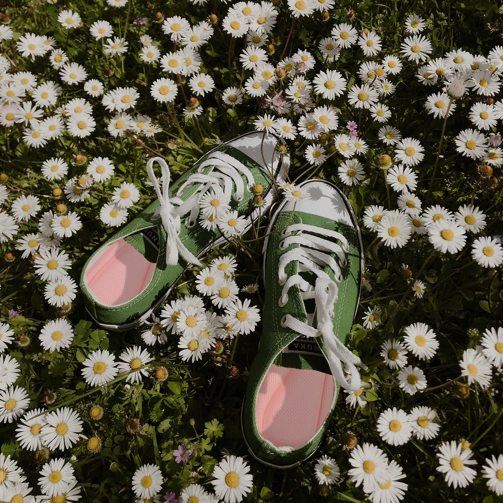 2 Pairs Shock Absorbing Insoles Lightweight Breathable Non Slip Sponge Pads for Women Men Daily Sports Foot Care Tools 
2 Pairs Shock Absorbing Insoles Lightweight Breathable Non Slip Sponge Pads for Women Men Daily Sports Foot Care Tools