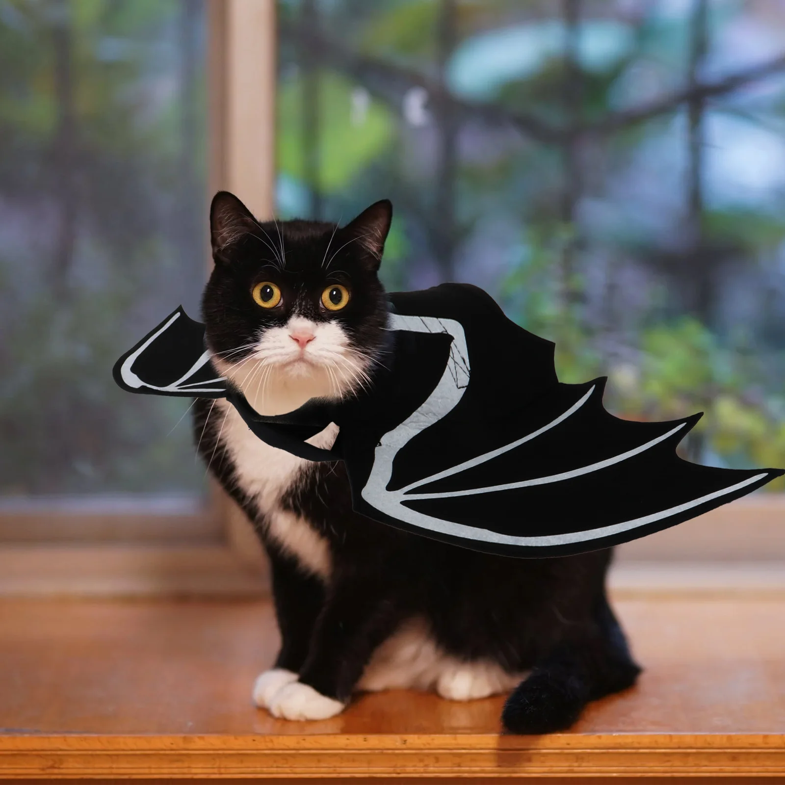 Luminous Bat Wings Halloween Costumes for Cats Pet Kittens Cosplay Felt Cloth Harness
Luminous Bat Wings Halloween Costumes for Cats Pet Kittens Cosplay Felt Cloth Harness