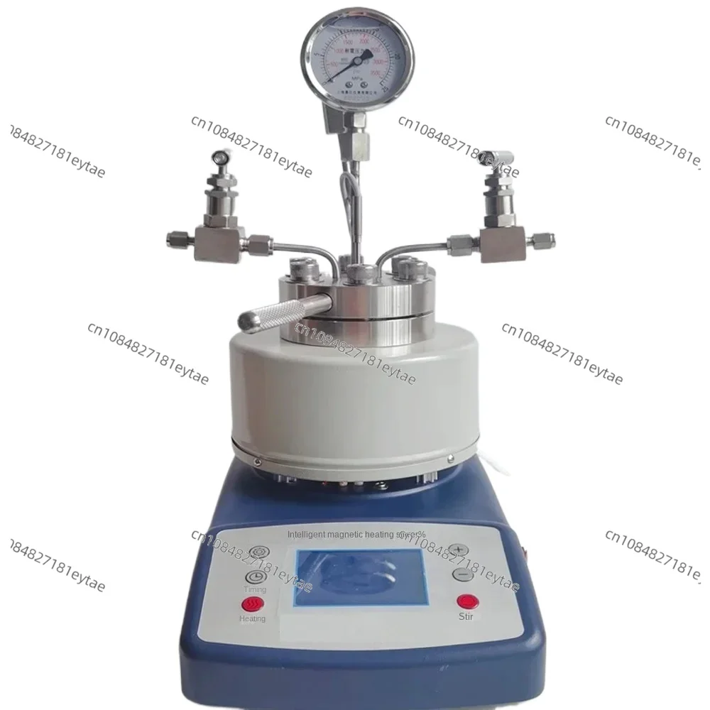 High pressure temperature Autoclave Reactor 50ml magnetic stirrer customizable Top Quality
High pressure temperature Autoclave Reactor 50ml magnetic stirrer customizable Top Quality