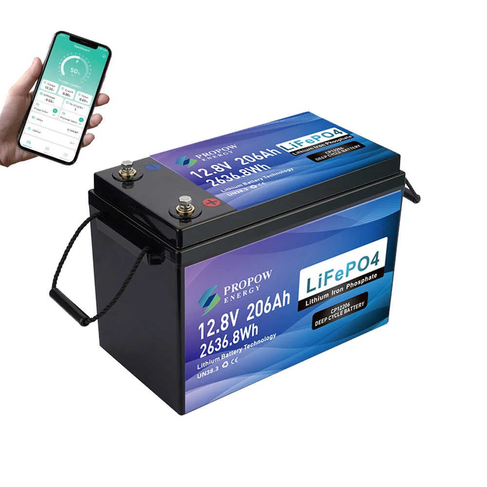 BT Monitoring 12Volt Caravan LiFePO4 12V 200Ah Lithium Battery For RV
BT Monitoring 12Volt Caravan LiFePO4 12V 200Ah Lithium Battery For RV
