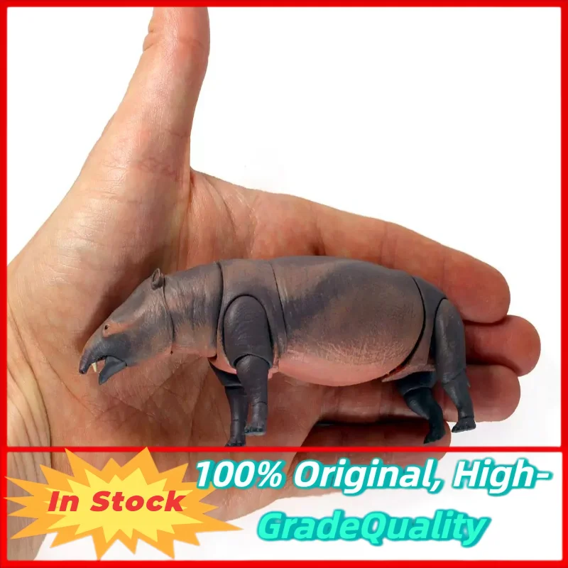 Pre-sale Mesozoic Beast BOC Ancient Beast Prehistoric Animal Dinosaur Action Figure Model, Boys' Toy Gift,Moeritherium1/18 Scale
Pre-sale Mesozoic Beast BOC Ancient Beast Prehistoric Animal Dinosaur Action Figure Model, Boys' Toy Gift,Moeritherium1/18 Scale