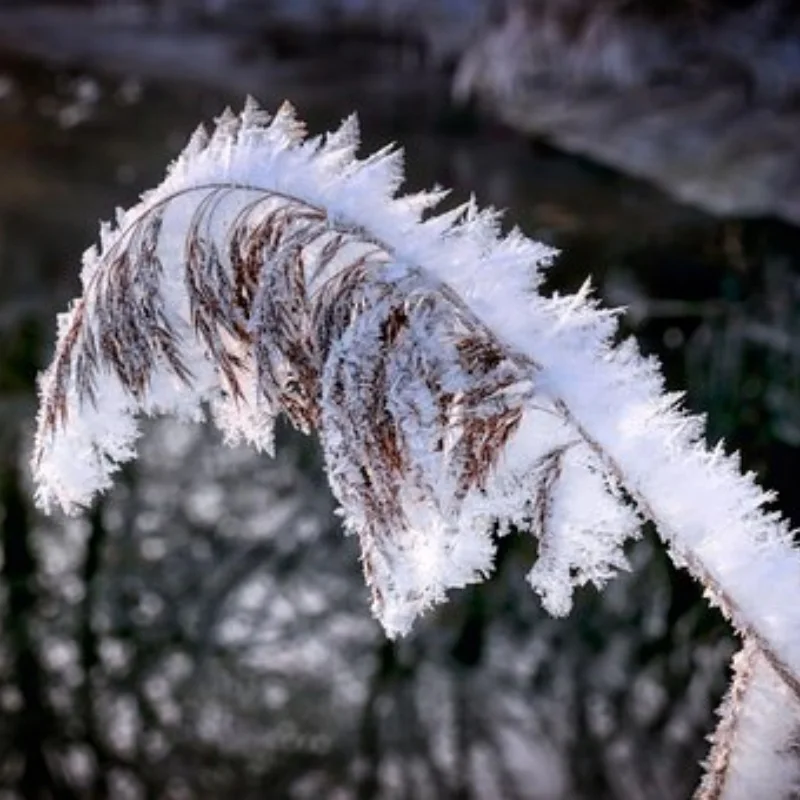 1 комплект 103 мм 1/8 RC внедорожный багги раллийные автомобильные шины колеса 17 мм шестигранные для ARRMA Redcat Team Losi Kyosho VRX HPI WR8 HSP Hobao
1 комплект 103 мм 1/8 RC внедорожный багги раллийные автомобильные шины колеса 17 мм шестигранные для ARRMA Redcat Team Losi Kyosho VRX HPI WR8 HSP Hobao
