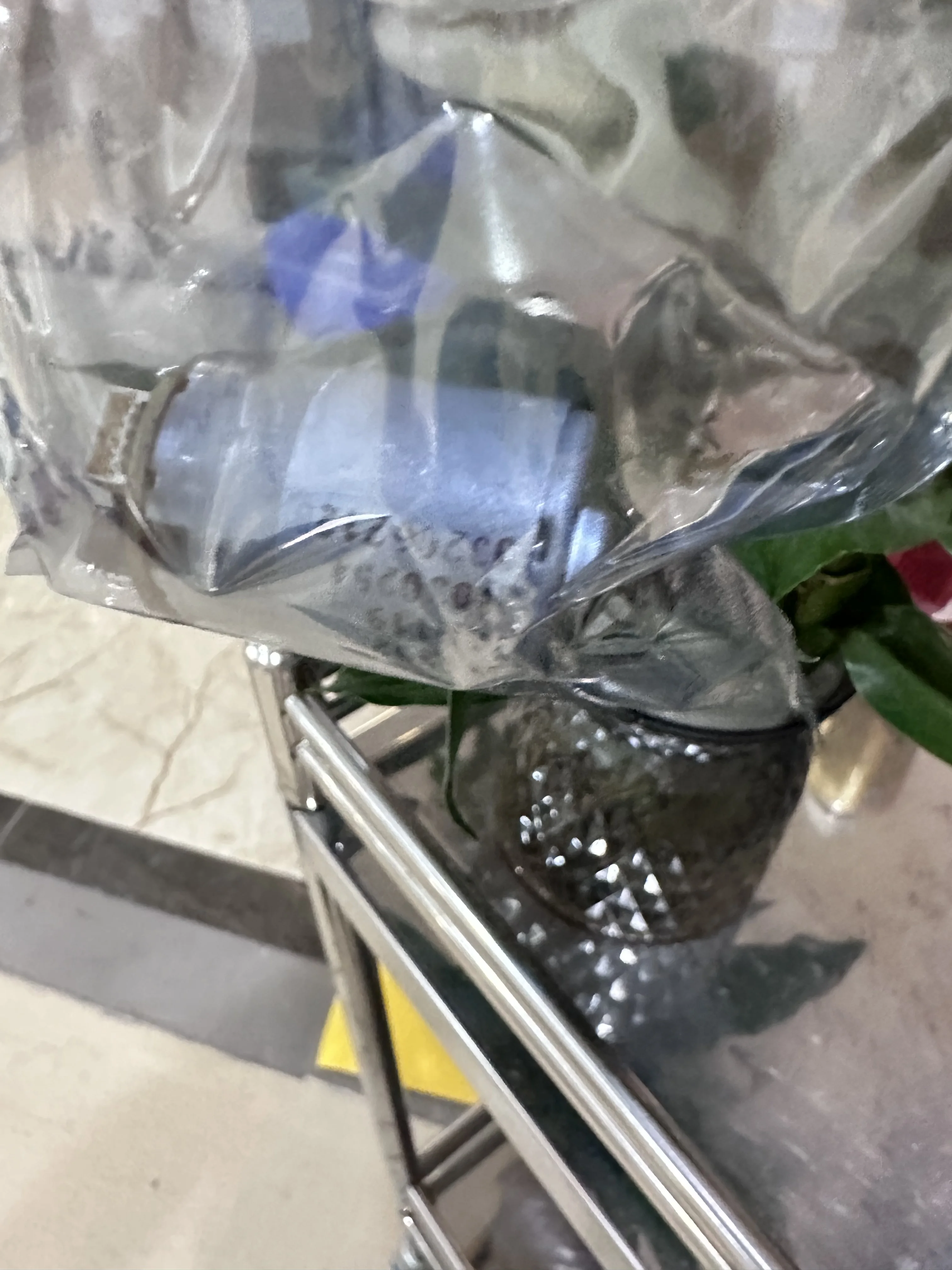 Q6718-67017 Двигатель звездного колеса для HP Designjet T610 T620 T770 T790 T795 T1100 T1200 T2300 Z2100 Z3100 Z5200 Z5400 Q5669-60697
Q6718-67017 Двигатель звездного колеса для HP Designjet T610 T620 T770 T790 T795 T1100 T1200 T2300 Z2100 Z3100 Z5200 Z5400 Q5669-60697