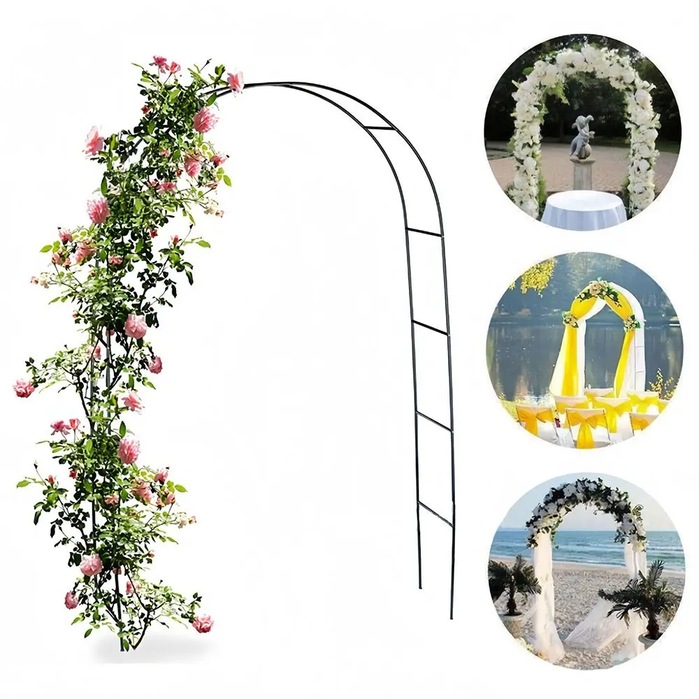 Iron Art Flower Holder Arch Black White Green Freely Assembled Flower Frame Door Climbing Plant Support DIY
Iron Art Flower Holder Arch Black White Green Freely Assembled Flower Frame Door Climbing Plant Support DIY