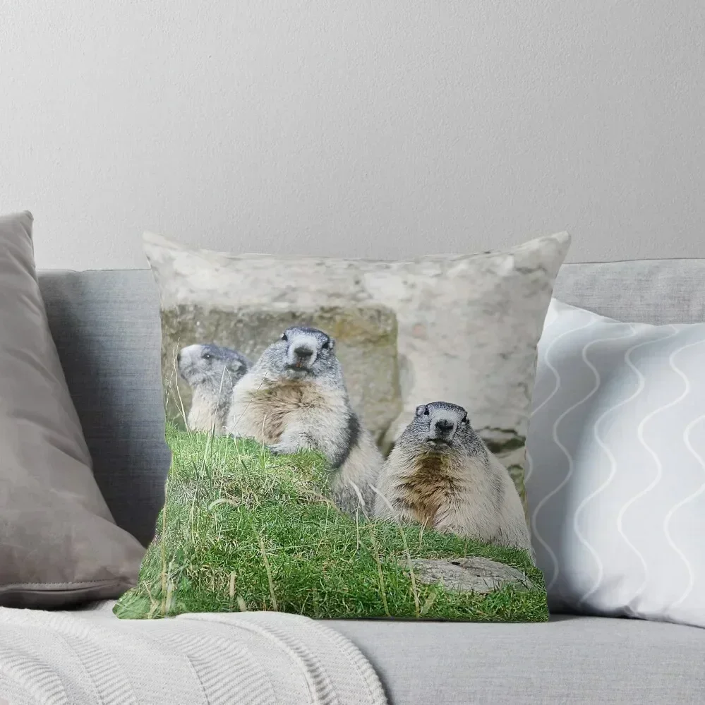 Marmots Throw Pillow christmas decorations for home 2025 Decorative Cover For Living Room Sofas Covers Anime pillow
Marmots Throw Pillow christmas decorations for home 2025 Decorative Cover For Living Room Sofas Covers Anime pillow