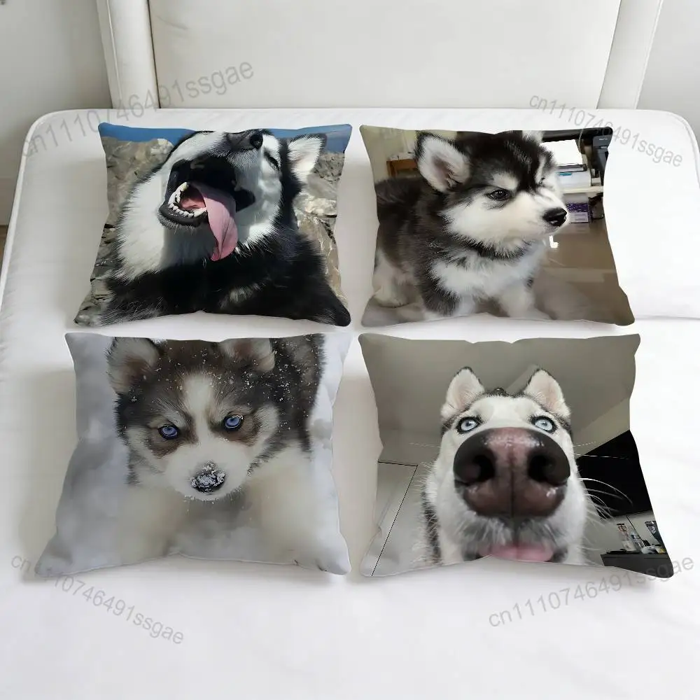 Husky P-Puppy Dog Decorative Square Pillow Cover Modern Cushion Case for Living Room Bedroom
Husky P-Puppy Dog Decorative Square Pillow Cover Modern Cushion Case for Living Room Bedroom