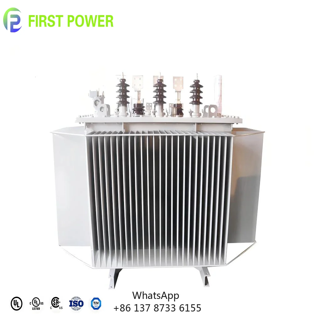 IEEE Standard 50/60HZ 10KV 15KV 20KV 35KV S11 Series Three Phase Oil Transformer 100KVA For Electric Power Distribution
IEEE Standard 50/60HZ 10KV 15KV 20KV 35KV S11 Series Three Phase Oil Transformer 100KVA For Electric Power Distribution
