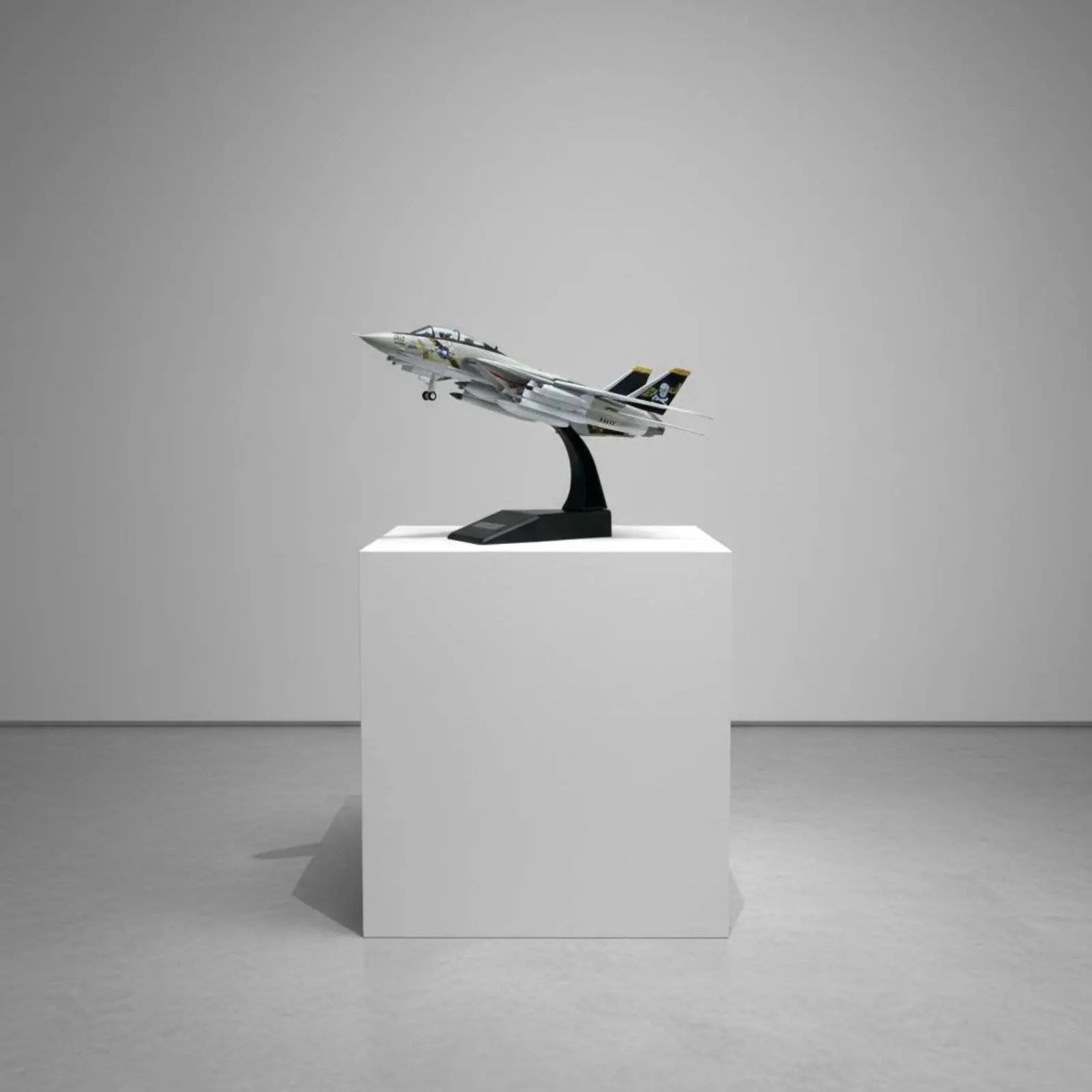F-14 Tomcat Model Movable Wings 1:100 Fighter Jet Model F-14 Diecast Airplane Collectible Die-Cast Fighter Jet Gift
F-14 Tomcat Model Movable Wings 1:100 Fighter Jet Model F-14 Diecast Airplane Collectible Die-Cast Fighter Jet Gift