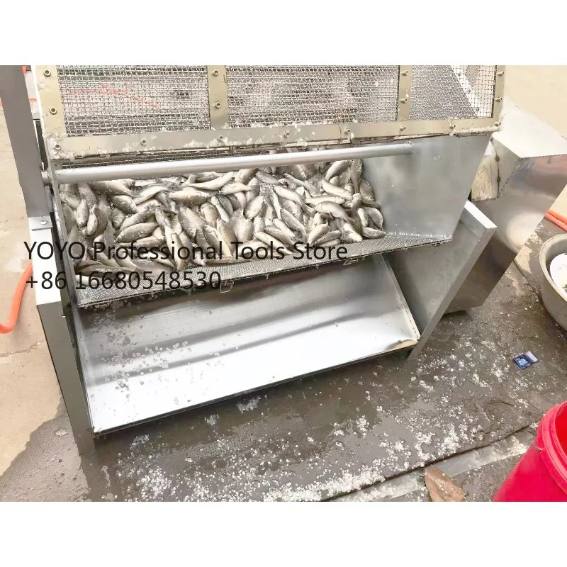 6qwElectric Fish Scaling Descaler Descaling Machine Fish Scale Viscera Remove Clean Machine
6qwElectric Fish Scaling Descaler Descaling Machine Fish Scale Viscera Remove Clean Machine