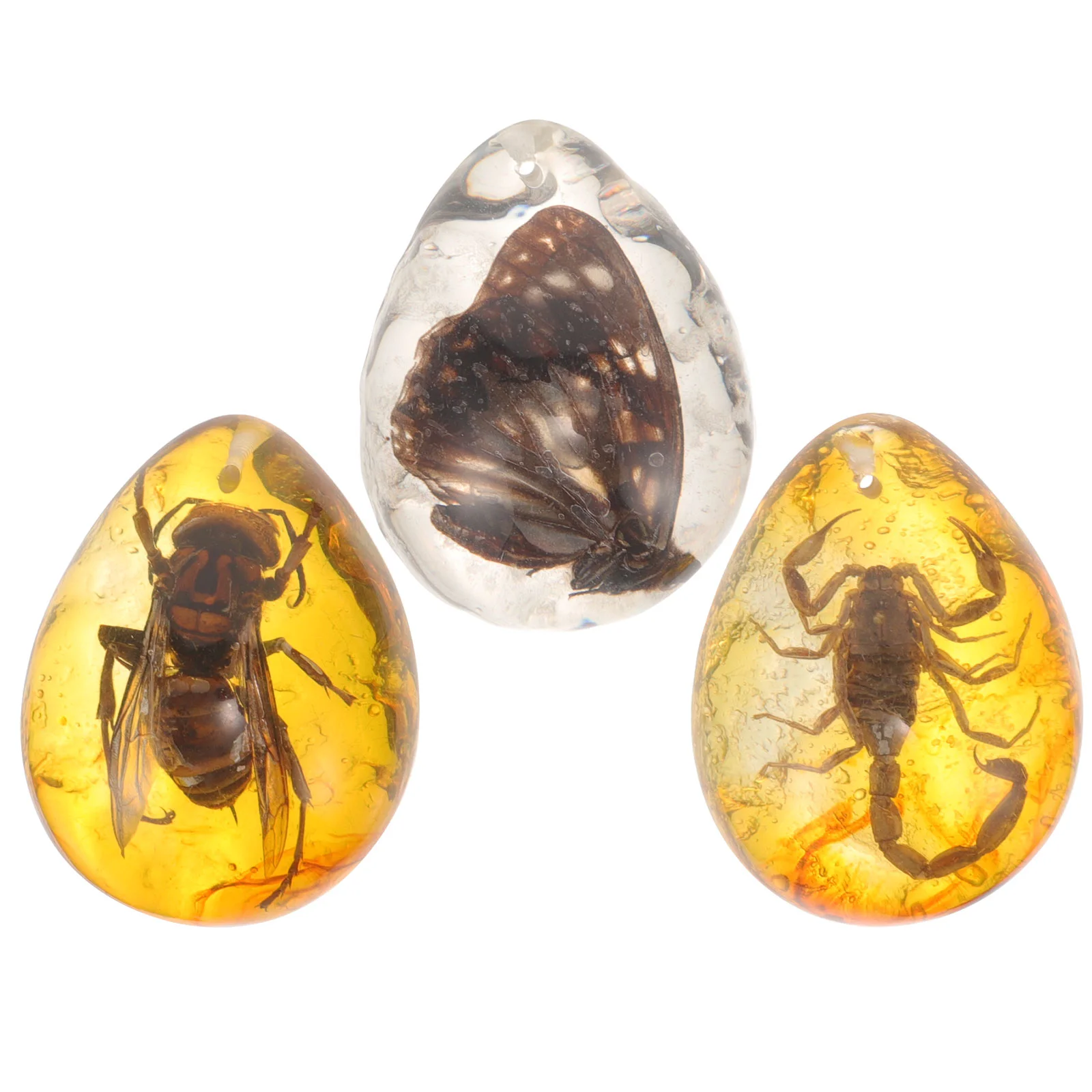 Insect Amber Specimen Resin Charms Insects Ornament Pendant Decorative Crafts DIY
Insect Amber Specimen Resin Charms Insects Ornament Pendant Decorative Crafts DIY