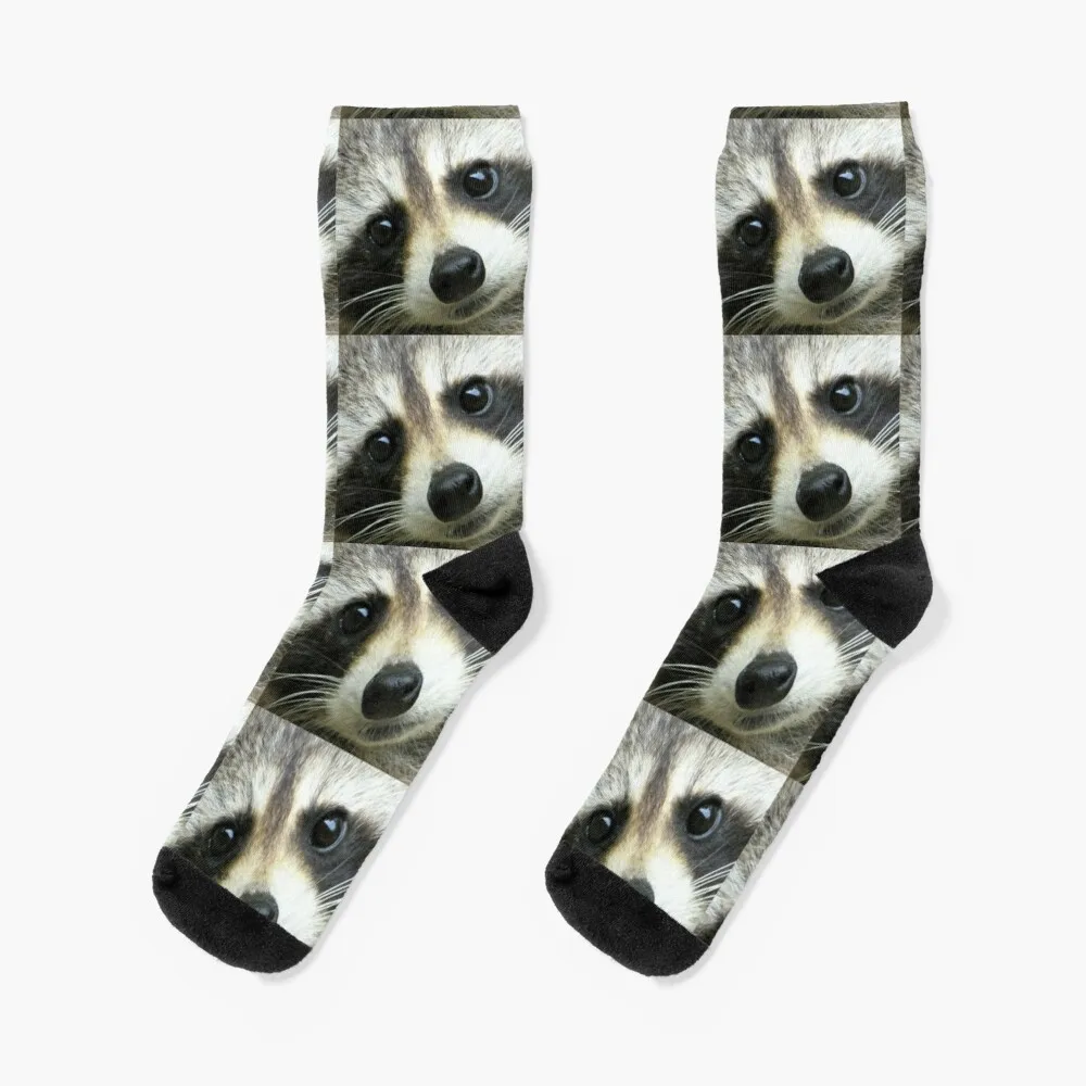 Sweet Face Socks Socks Men'S 
Sweet Face Socks Socks Men'S