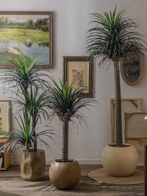 Large Indoor Decorative Faux Green Plant Dragon Blood Tree Potted Ornament Living Room Floor Standing Artificial Biodiverse L...
Large Indoor Decorative Faux Green Plant Dragon Blood Tree Potted Ornament Living Room Floor Standing Artificial Biodiverse L...