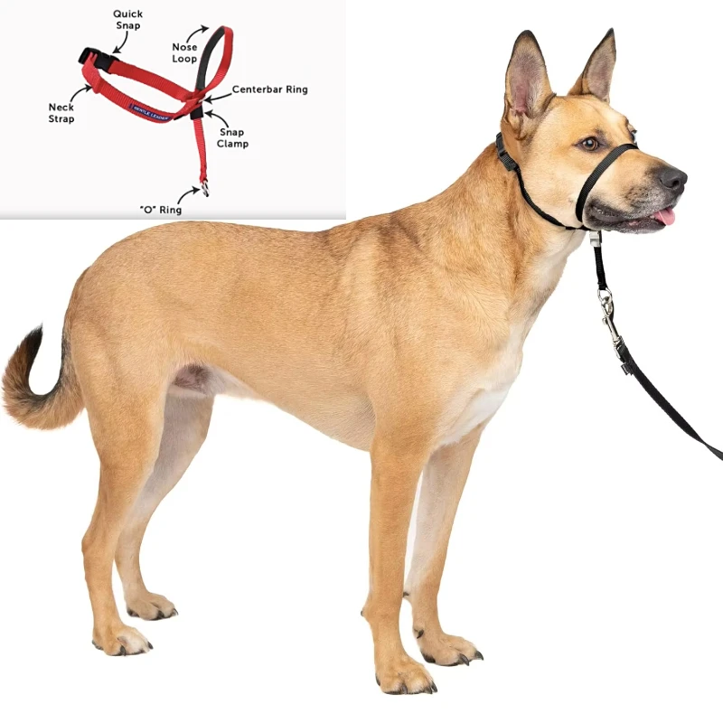 Zhenjia Hot Selling New No-pull Dog collar Adjustable Anti-barking Biting Mouth Cover Dog Mouth Collar Mouth Mask
Zhenjia Hot Selling New No-pull Dog collar Adjustable Anti-barking Biting Mouth Cover Dog Mouth Collar Mouth Mask
