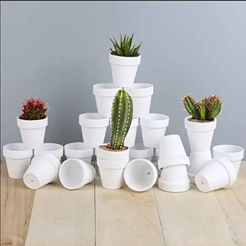 24pcs 2.5'' Mini Clay Pots with Drainage Holes for Succulents, Cacti, Indoor/Outdoor Planters
24pcs 2.5'' Mini Clay Pots with Drainage Holes for Succulents, Cacti, Indoor/Outdoor Planters