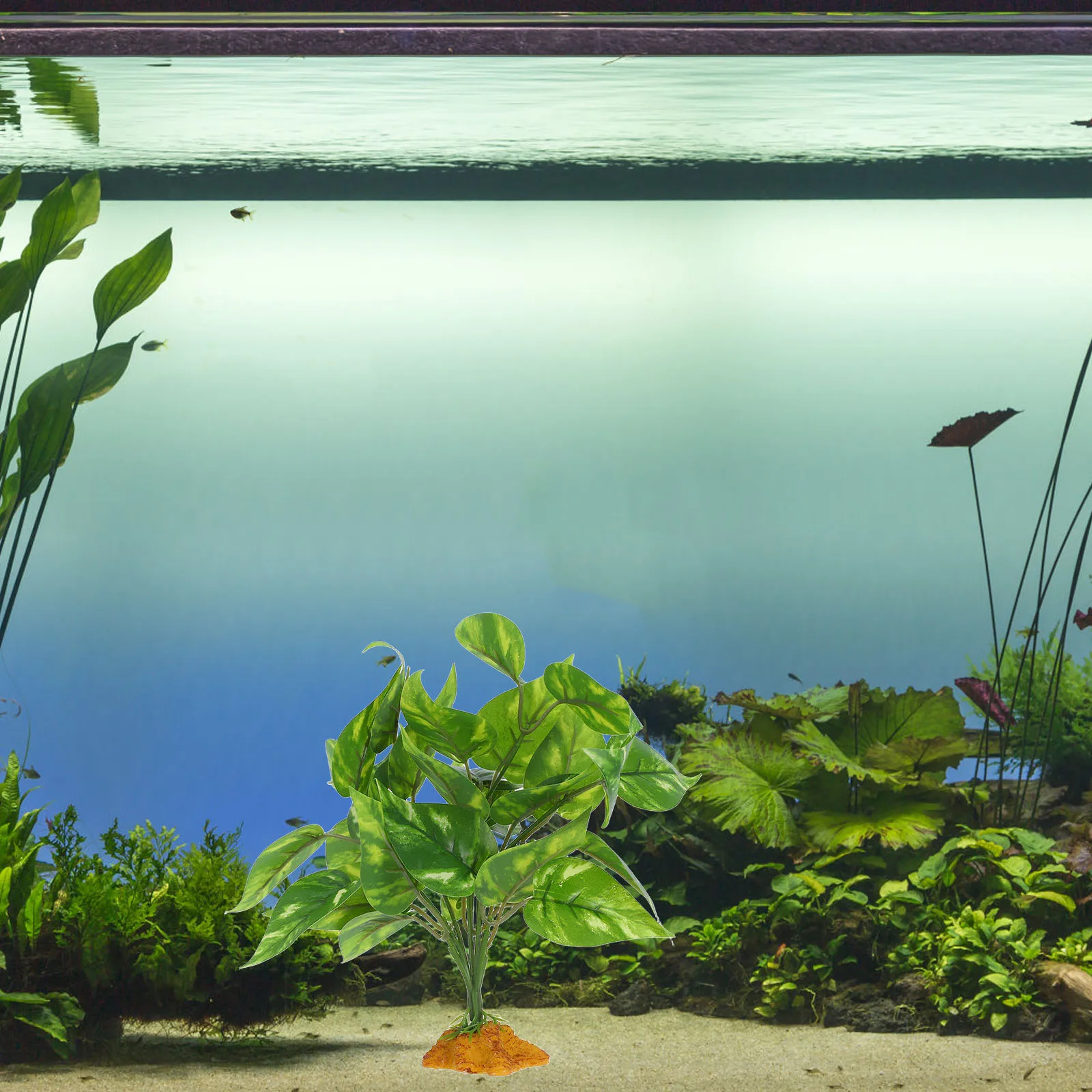 Artificial Plant Decoration High Realism Durable Fish Tank Plants Terrarium Decor Reptiles Amphibian Climbing Pet
Artificial Plant Decoration High Realism Durable Fish Tank Plants Terrarium Decor Reptiles Amphibian Climbing Pet