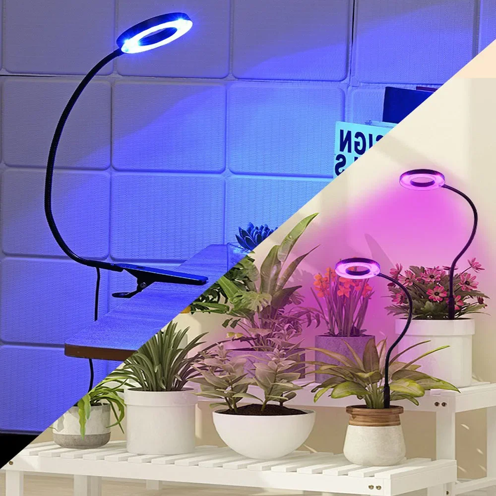 Full-spectrum LED plant lamp, flowerpot clip, mini plant lamp red and blue, used in two ways, with dimming switching spectrum.
Full-spectrum LED plant lamp, flowerpot clip, mini plant lamp red and blue, used in two ways, with dimming switching spectrum.