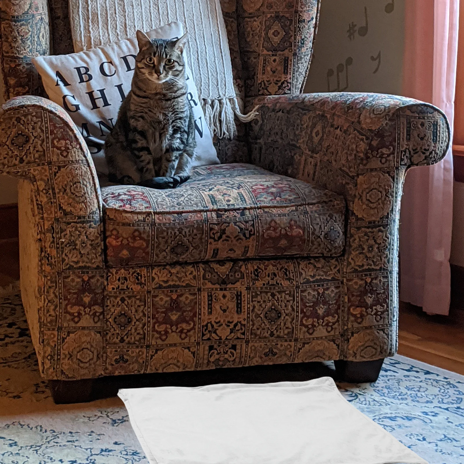 Indoor Heated Pet Mat Waterproof Adjustable Temperature Timer Heating Pad for Dogs Cats Uk Plug Heated Blanket for Pets
Indoor Heated Pet Mat Waterproof Adjustable Temperature Timer Heating Pad for Dogs Cats Uk Plug Heated Blanket for Pets