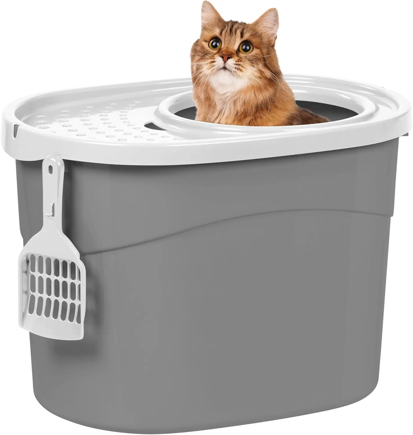 Top Entry Cat Litter Box, Large Enclosed with Litter Catching Lid and Scoop, Dog Proof, Cat Litter Box, Gray/White
Top Entry Cat Litter Box, Large Enclosed with Litter Catching Lid and Scoop, Dog Proof, Cat Litter Box, Gray/White