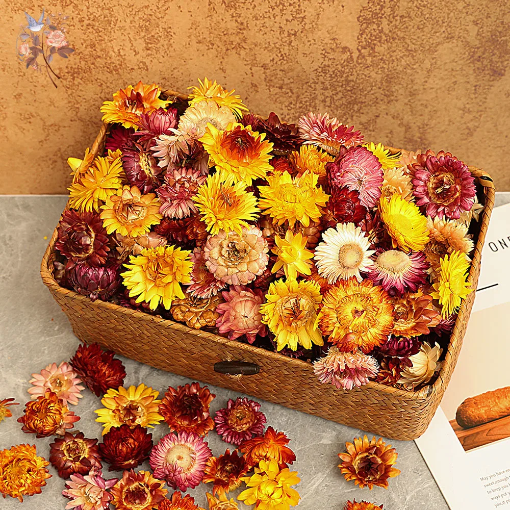 50Pcs Chrysanthemum Head DIY Dried Flower Heads Mini Daisy DIY Crystal Dropping Glue Decorative Filler Sunflower Candle Crafts
50Pcs Chrysanthemum Head DIY Dried Flower Heads Mini Daisy DIY Crystal Dropping Glue Decorative Filler Sunflower Candle Crafts