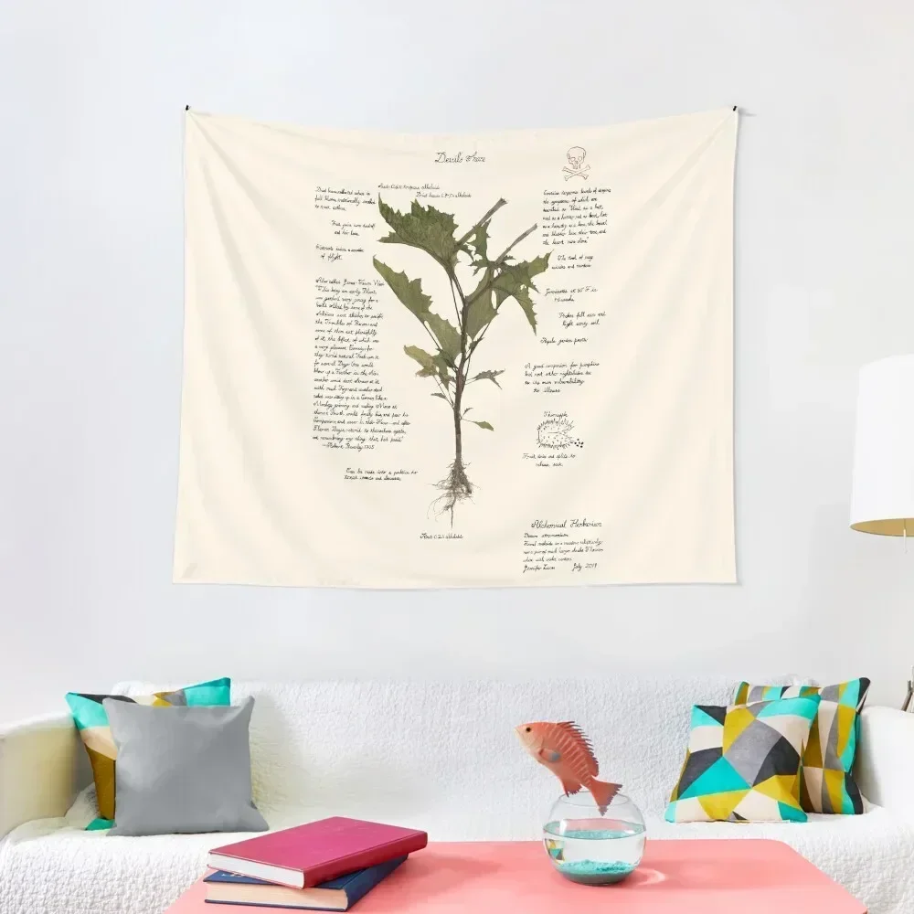 Devil's Snare - Datura stramonium Tapestry Decor Home Wall Deco Bed Room Decoration Things To The Room Tapestry
Devil's Snare - Datura stramonium Tapestry Decor Home Wall Deco Bed Room Decoration Things To The Room Tapestry