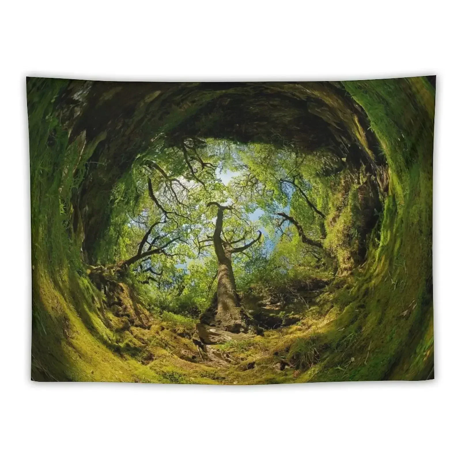 Ness Glen, Mystical Irish Wood Tapestry Aesthetic Room Decor Korean Wall Mural Tapestry
Ness Glen, Mystical Irish Wood Tapestry Aesthetic Room Decor Korean Wall Mural Tapestry