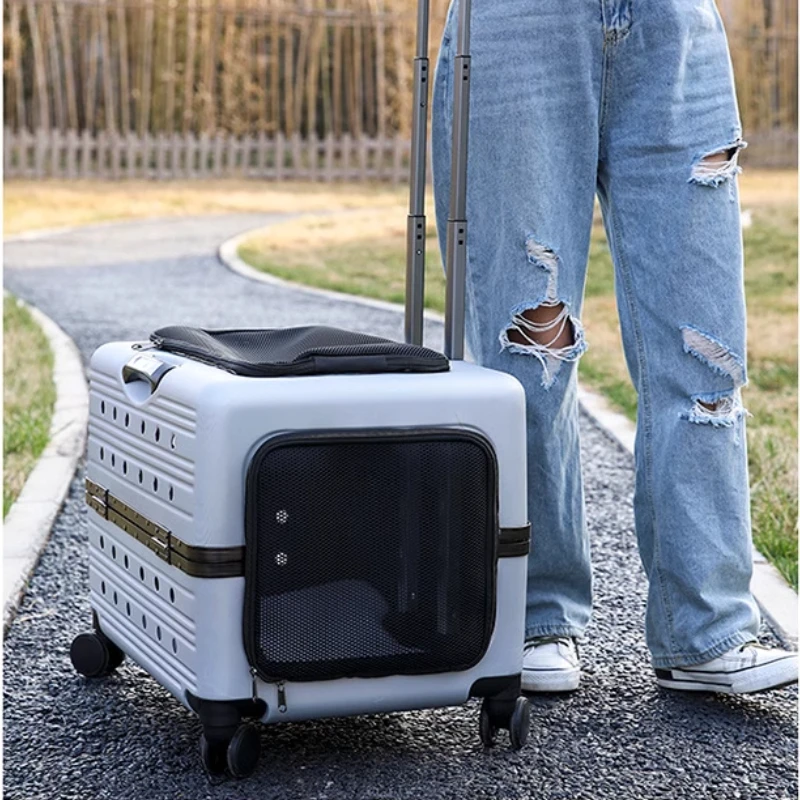 Large Pet Trolley Case Panoramic View Portable Cat Carrier Comfort Breathable Space Capsule Transparent Pet Transport Solution
Large Pet Trolley Case Panoramic View Portable Cat Carrier Comfort Breathable Space Capsule Transparent Pet Transport Solution