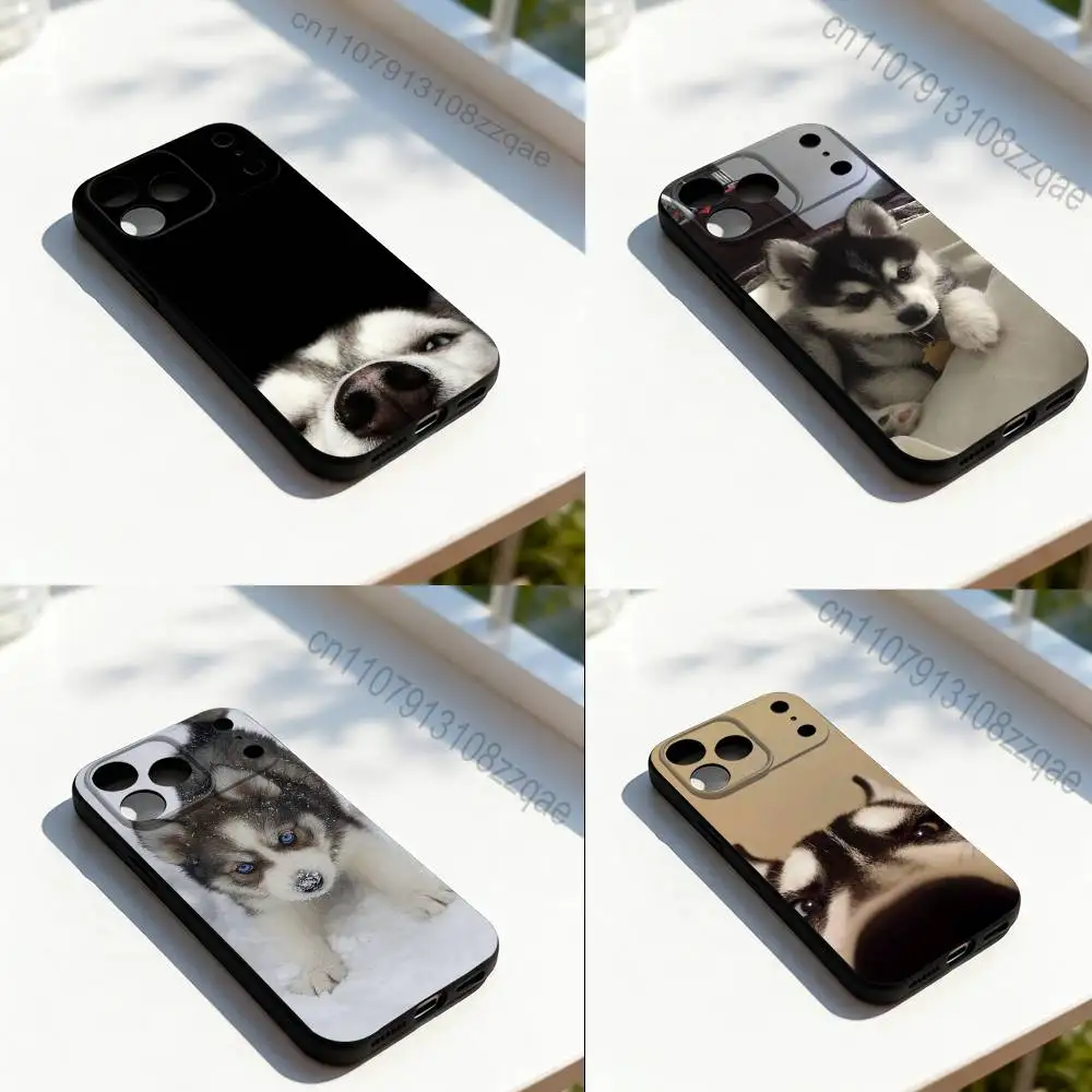 Husky Puppy Dog Funny For iPhone 17,16,15,14,13,12,11,Pro,Max,Plus,E,SE4,Air,Mini Black Soft Cover Phone Case
Husky Puppy Dog Funny For iPhone 17,16,15,14,13,12,11,Pro,Max,Plus,E,SE4,Air,Mini Black Soft Cover Phone Case