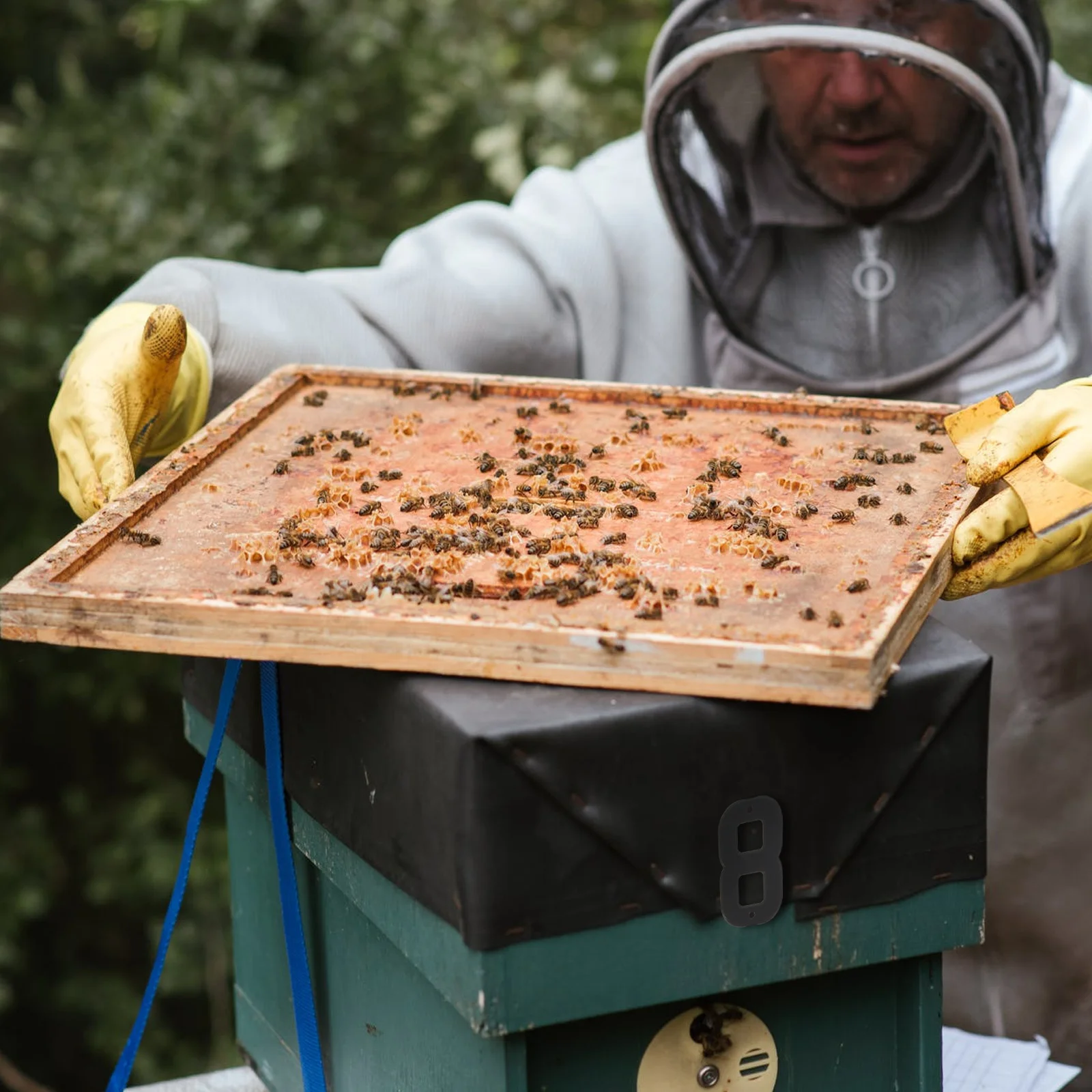 2pcs Beehive Number Mark Plastic Beekeeping Tool For Hive Identification Diy Bee Box Sign Apiculture Equipment
2pcs Beehive Number Mark Plastic Beekeeping Tool For Hive Identification Diy Bee Box Sign Apiculture Equipment