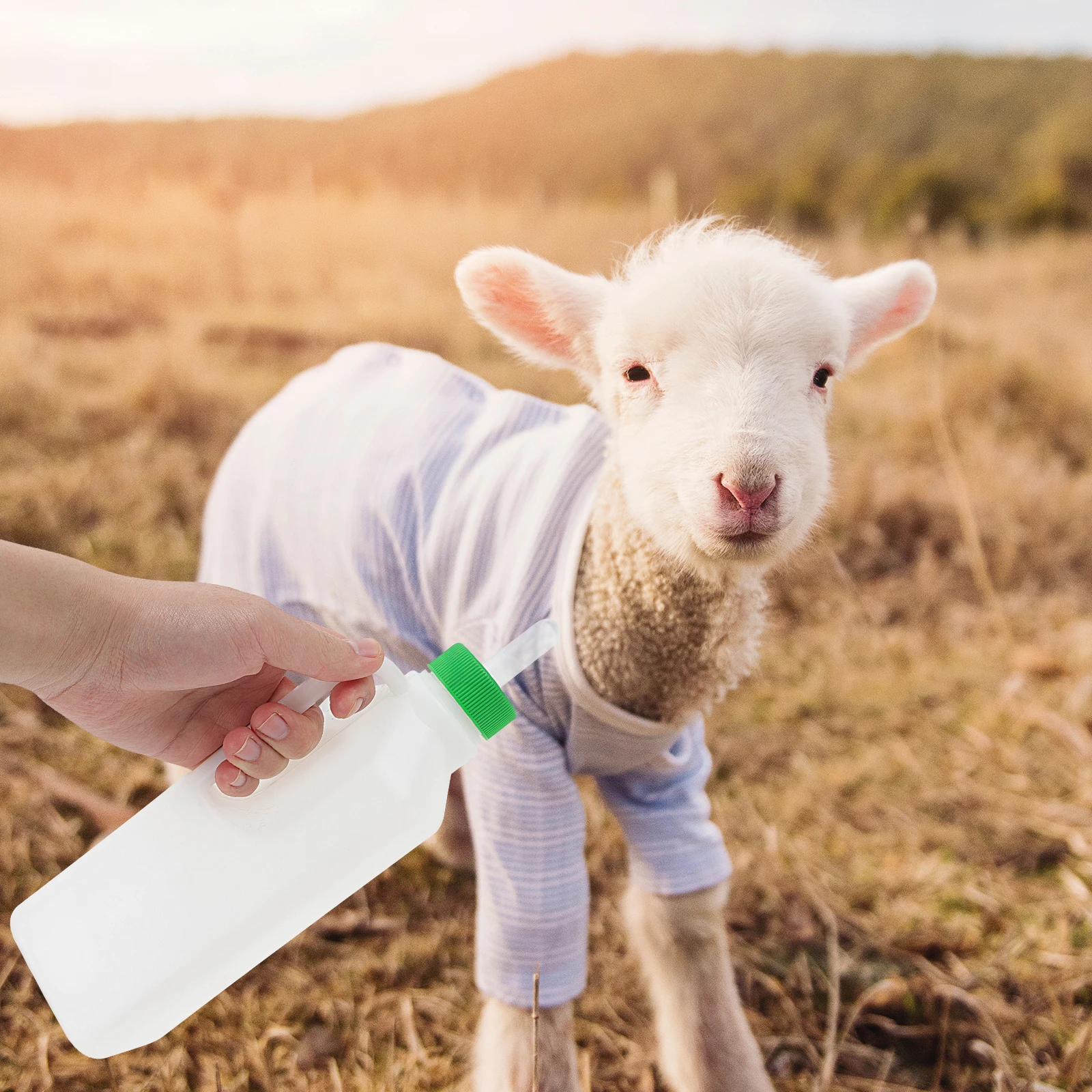 6 Pcs Baby Bottle Nipple Lamb Feeder Goat Nursing Nipples for Feeding Goats Cattle and Sheep
6 Pcs Baby Bottle Nipple Lamb Feeder Goat Nursing Nipples for Feeding Goats Cattle and Sheep