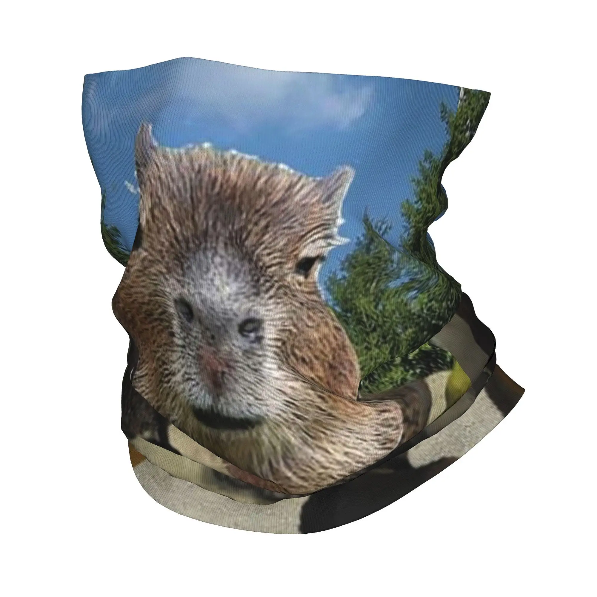 Capybara Animal Shrek Bandana Neck Cover Printed Wrap Scarf Multi-use Cycling Scarf Outdoor Sports Unisex Adult Breathable
Capybara Animal Shrek Bandana Neck Cover Printed Wrap Scarf Multi-use Cycling Scarf Outdoor Sports Unisex Adult Breathable