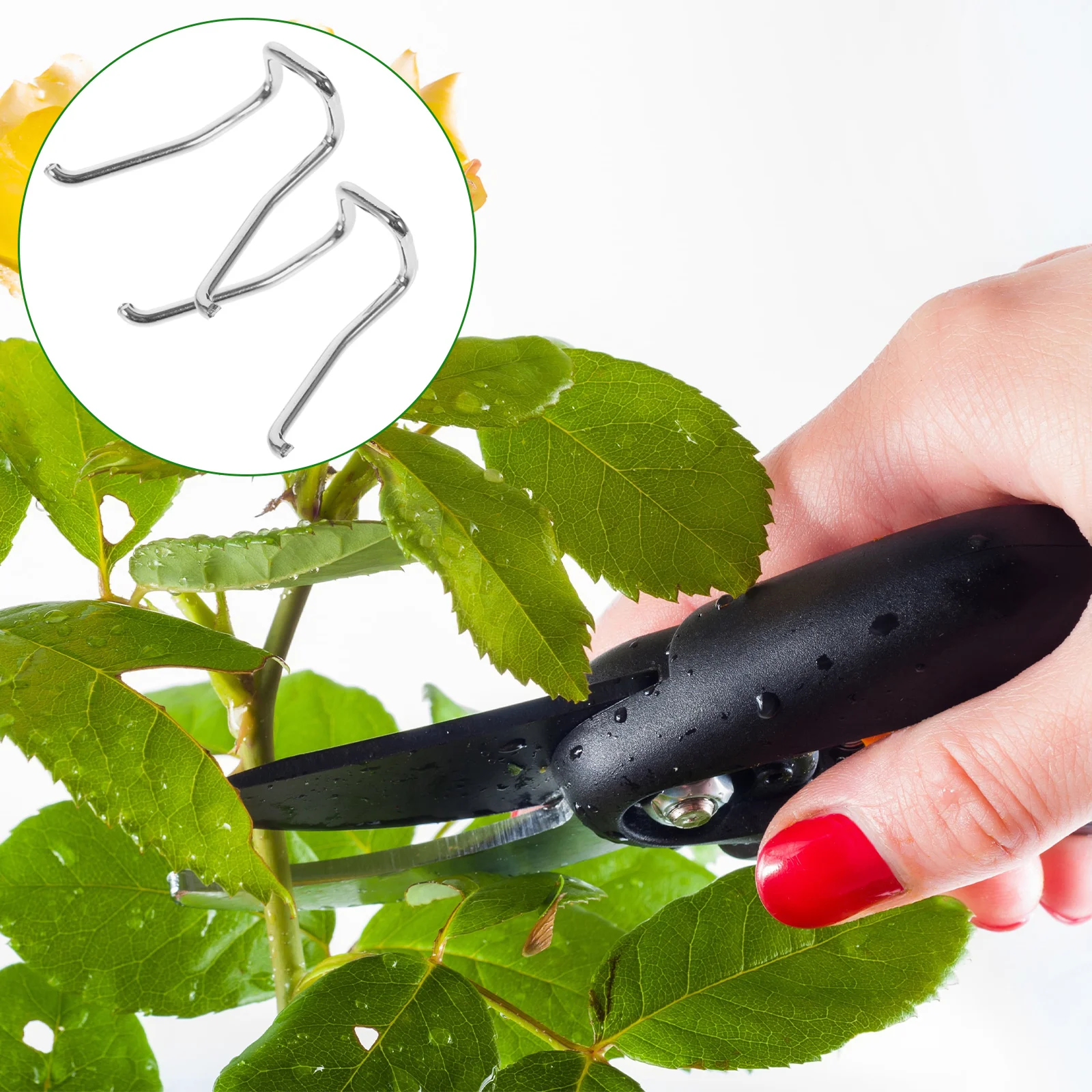 20pcs Pruner Replacement Spring Stainless Steel V Shaped Trimming Springs Stronger Gardening Shears Accessories for Handheld
20pcs Pruner Replacement Spring Stainless Steel V Shaped Trimming Springs Stronger Gardening Shears Accessories for Handheld
