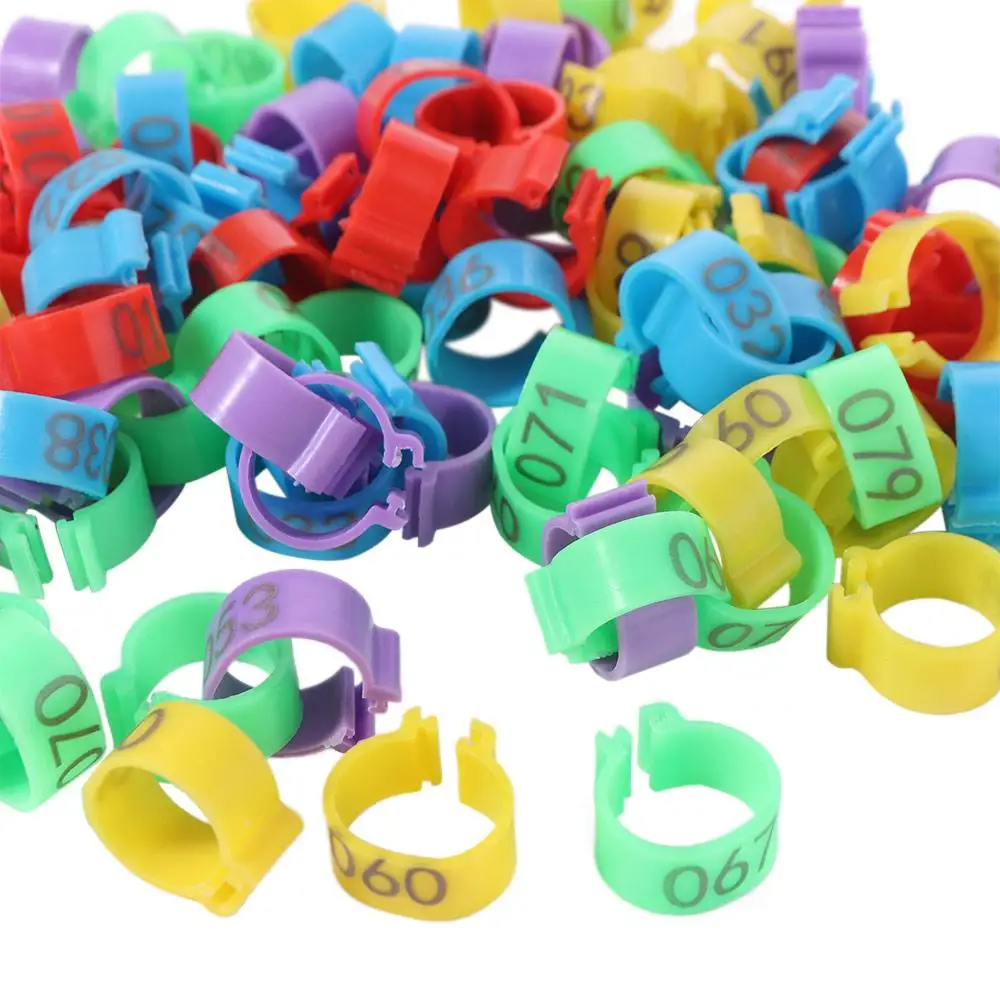 100pcs Portable Poultry Leg Tags Mixed Colour Plastic Band Foot Ring 5 Colors with Number Letter Bird Leg Sign Rings
100pcs Portable Poultry Leg Tags Mixed Colour Plastic Band Foot Ring 5 Colors with Number Letter Bird Leg Sign Rings