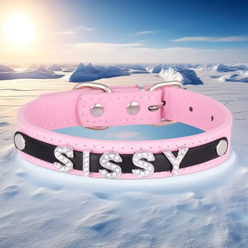 Роскошное колье с персонализированными буквами SISSY, женское колье из искусственной кожи с воротником в стиле панк, колье на заказ, ювелирные изделия с кристаллами, ожерелье для вечеринки и шоу
Роскошное колье с персонализированными буквами SISSY, женское колье из искусственной кожи с воротником в стиле панк, колье на заказ, ювелирные изделия с кристаллами, ожерелье для вечеринки и шоу
