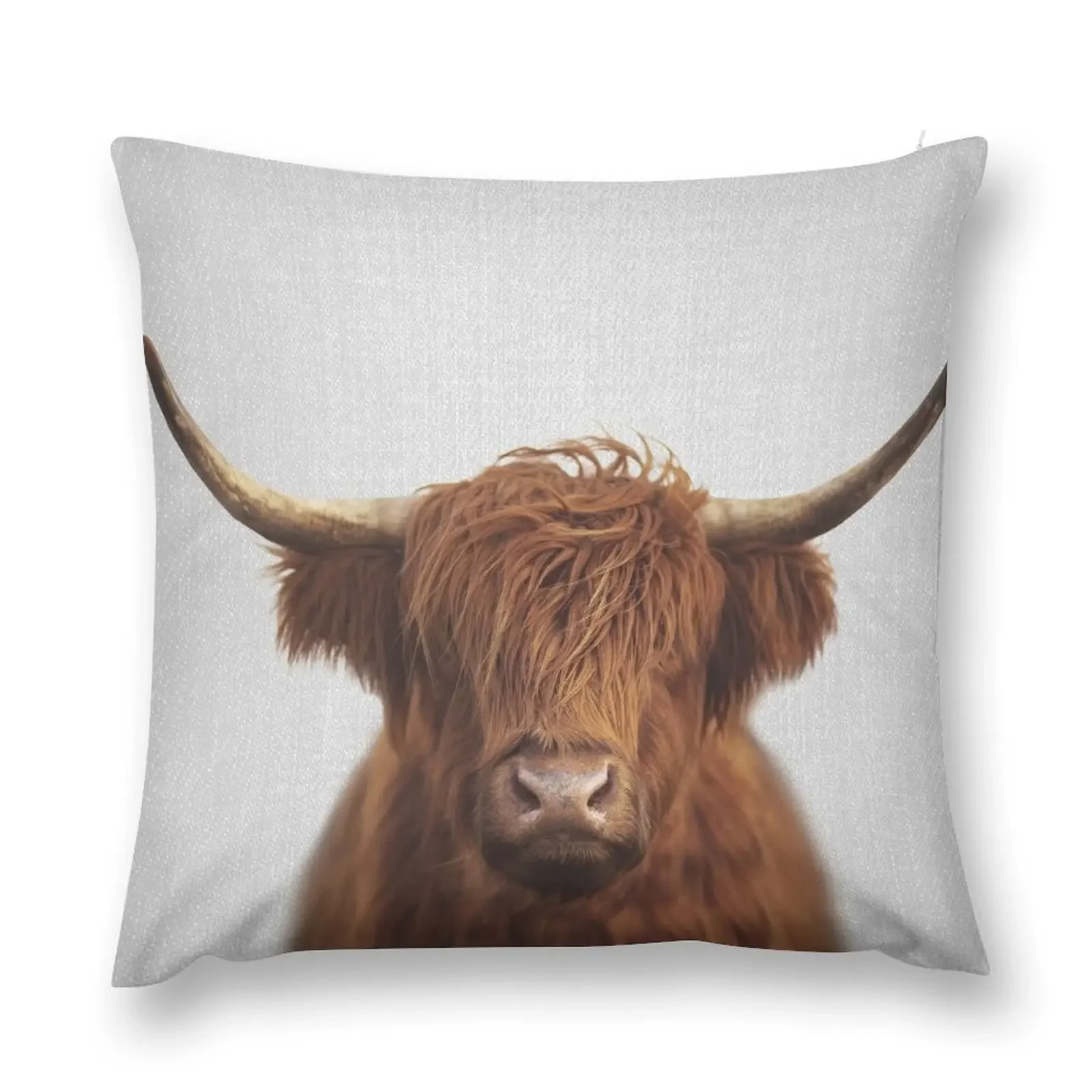 Highland Cow - Colorful Throw Pillow Sofa Cushions Cushions Cover Couch Pillows pillow
Highland Cow - Colorful Throw Pillow Sofa Cushions Cushions Cover Couch Pillows pillow